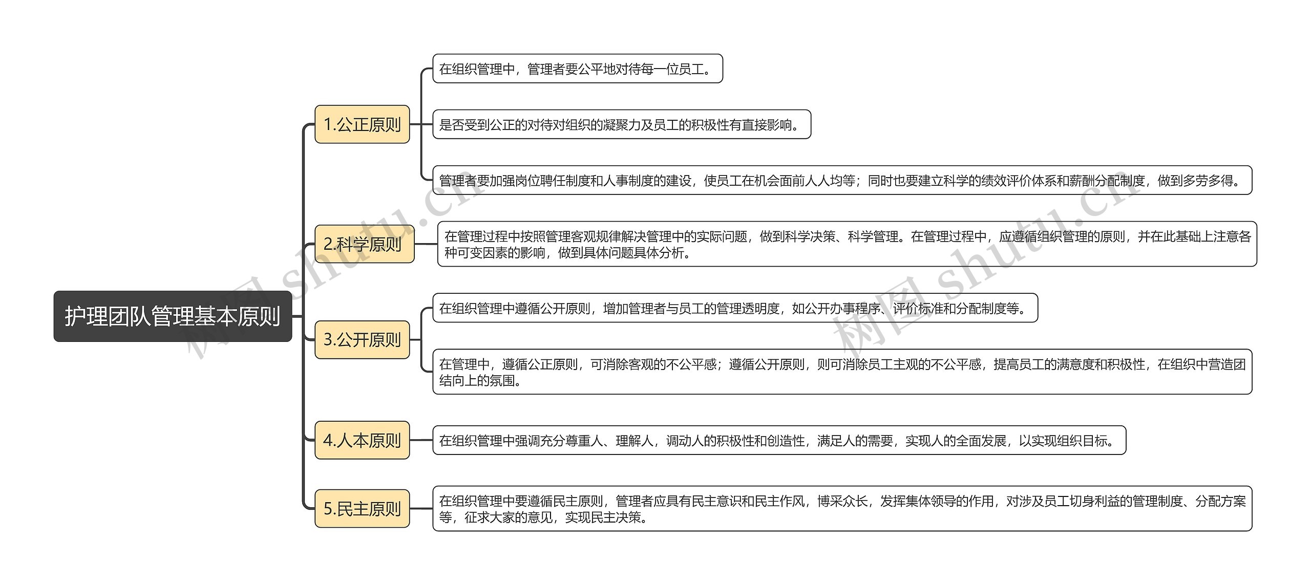 护理团队管理基本原则思维导图