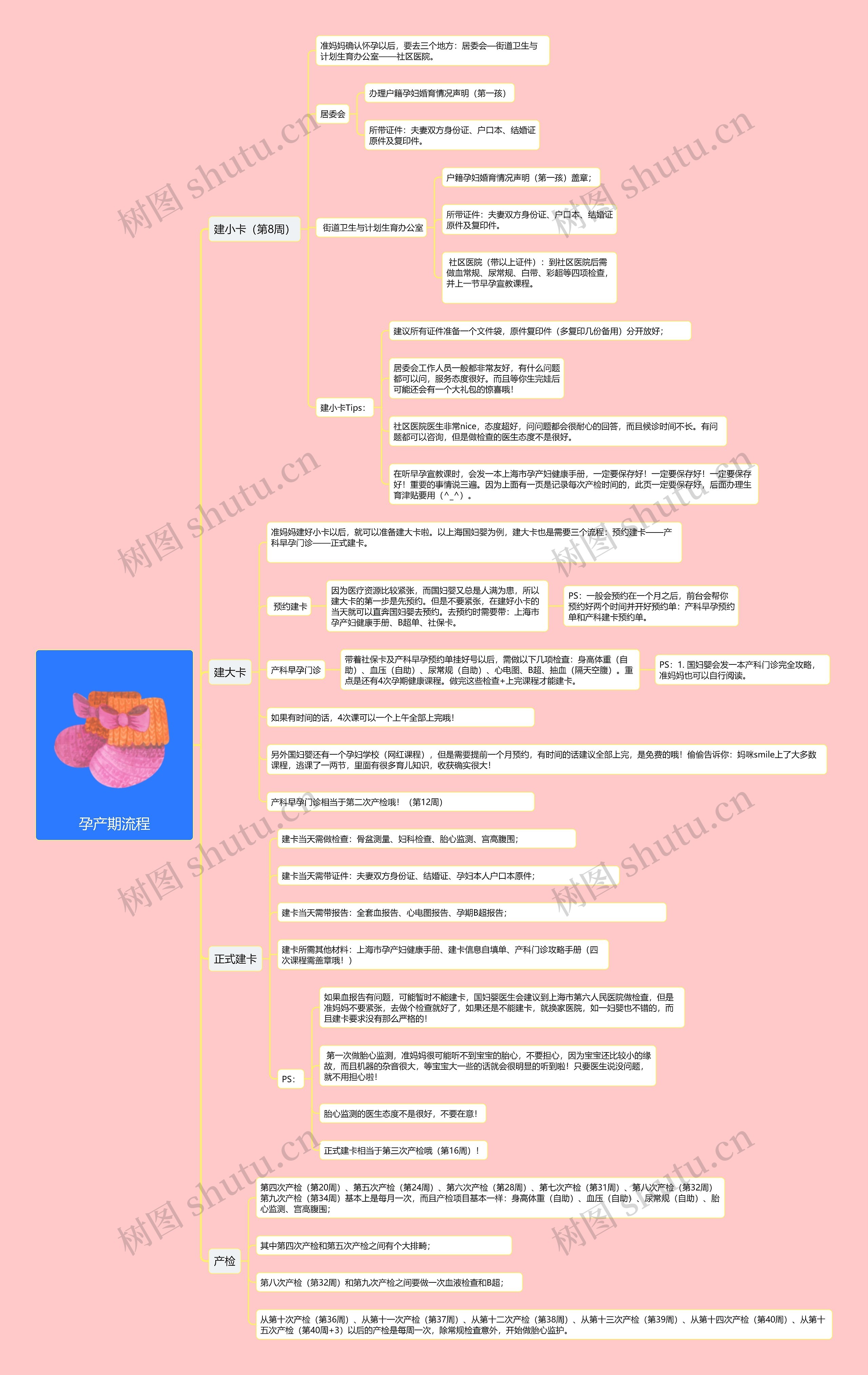 孕产期流程思维导图