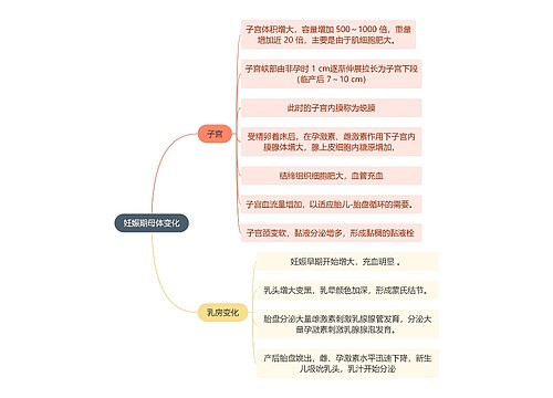 医学知识妊娠期母体变化思维导图