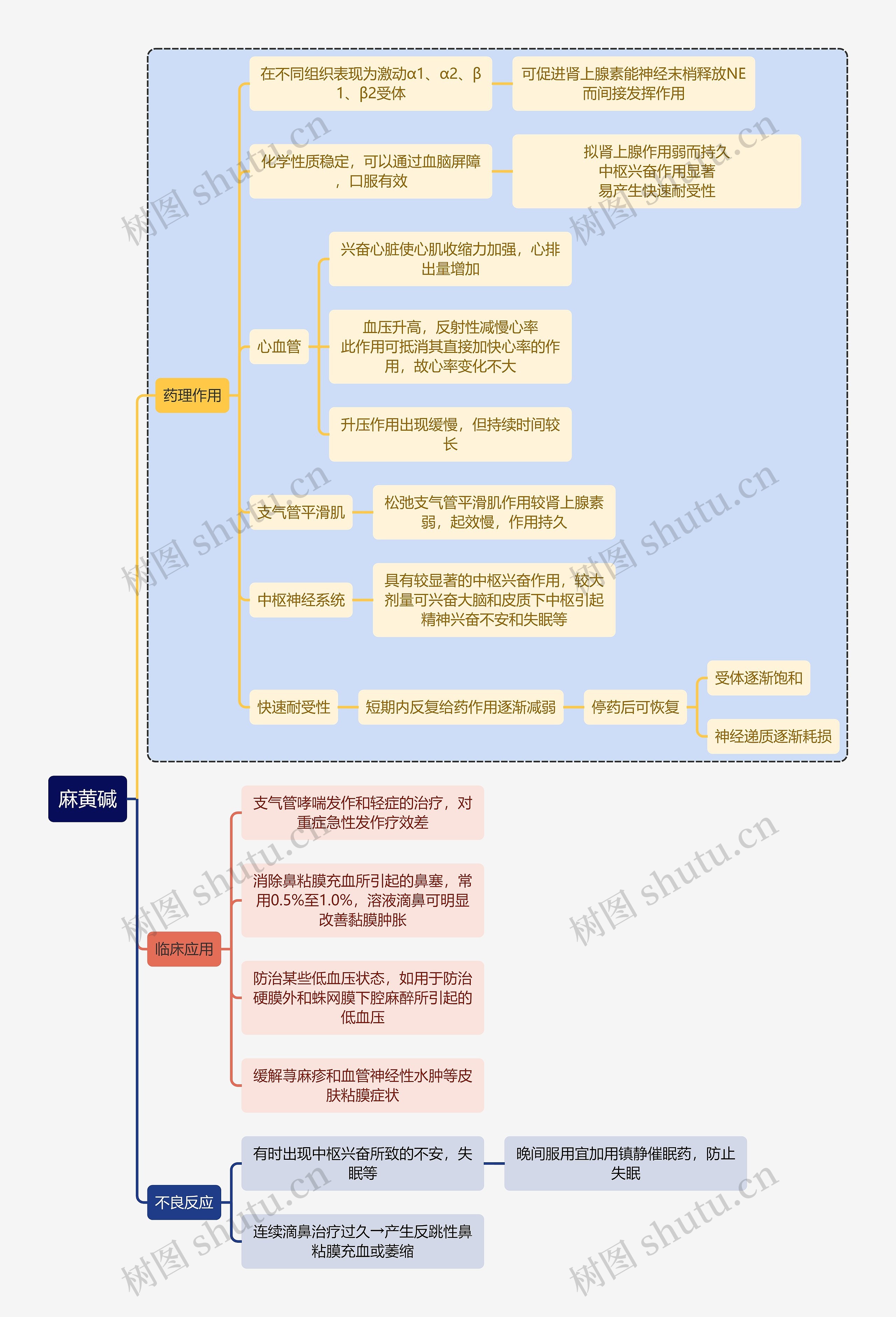 医学麻黄碱思维导图