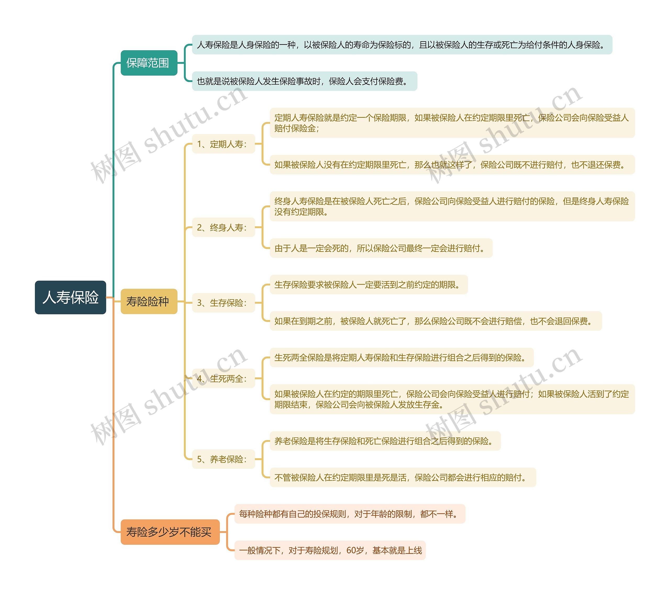 人寿保险思维导图