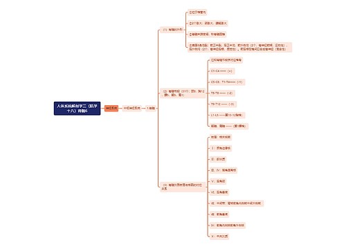 《人体系统解剖学三（肌学十八）脊髓6》思维导图