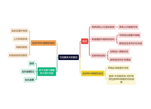 医学知识与觉醒有关的脑区思维导图