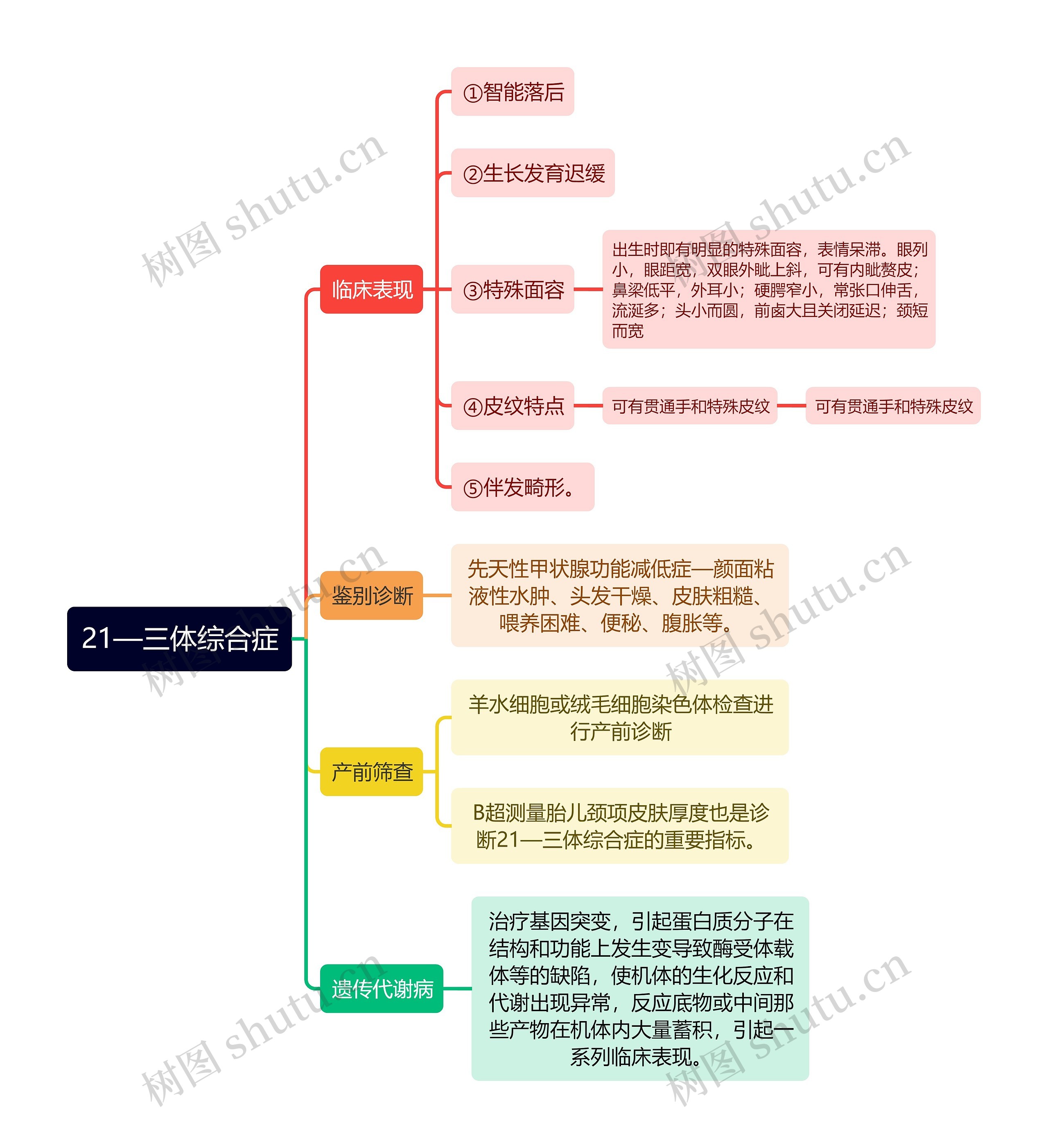 医学知识21—三体综合症思维导图