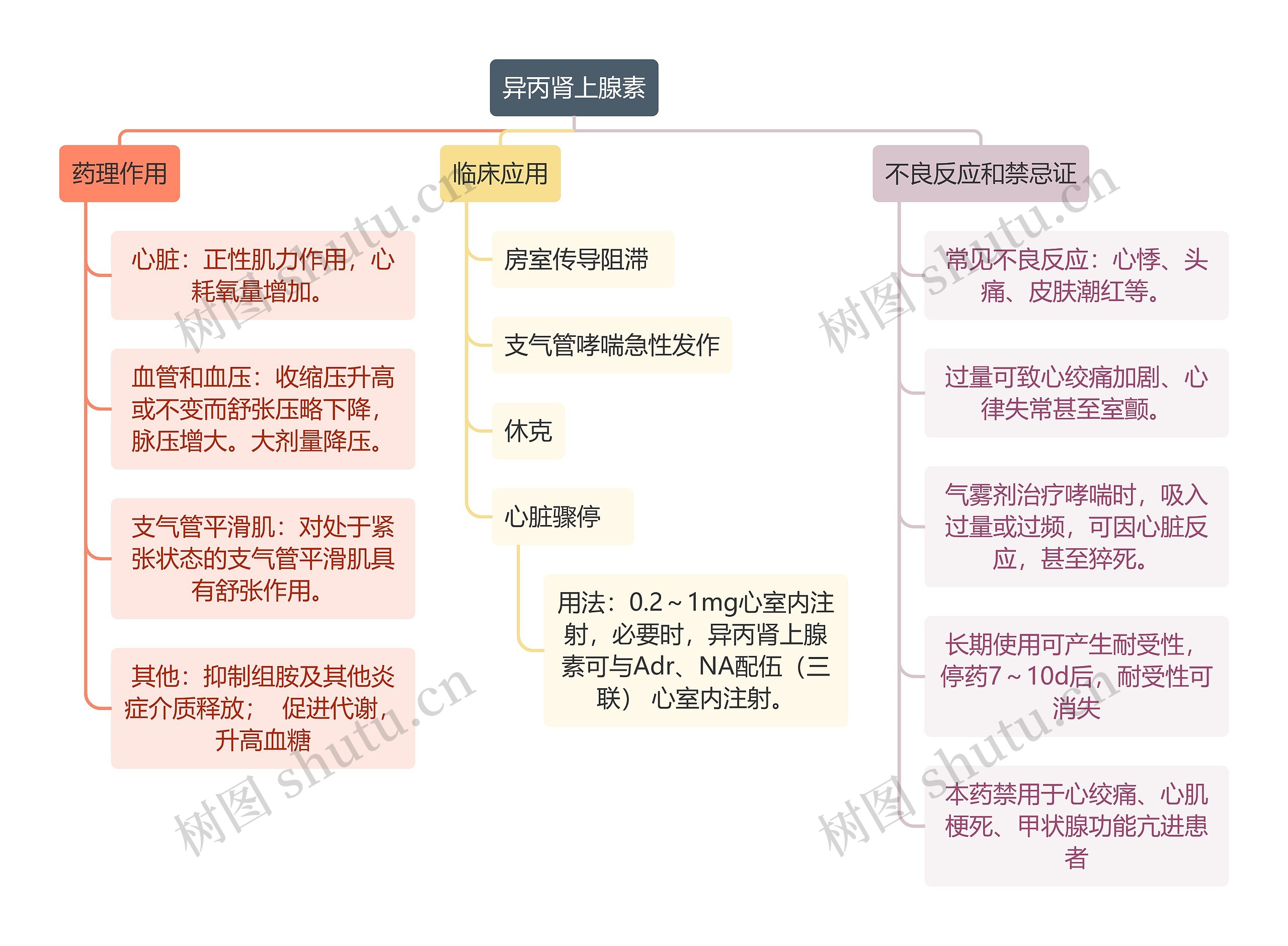 医学知识异丙肾上腺素思维导图