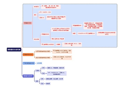 医学知识脂肪酸的合成代谢思维导图