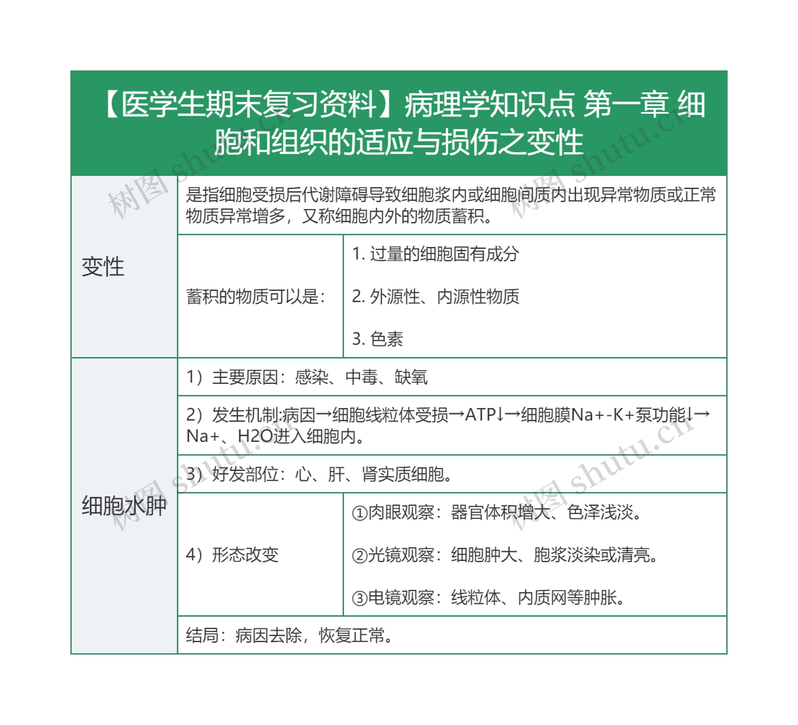 【医学生期末复习资料】病理学知识点 第一章 细胞和组织的适应与损伤之变性