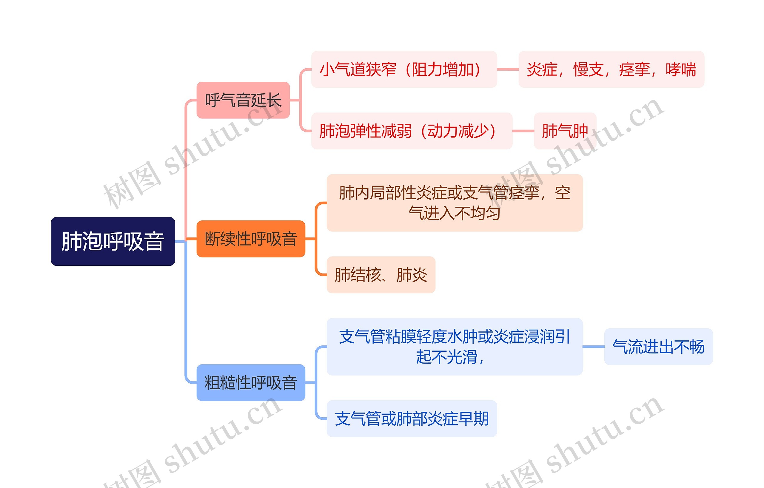 医学知识肺泡呼吸音思维导图