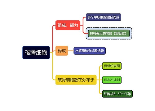 医学知识破骨细胞思维导图