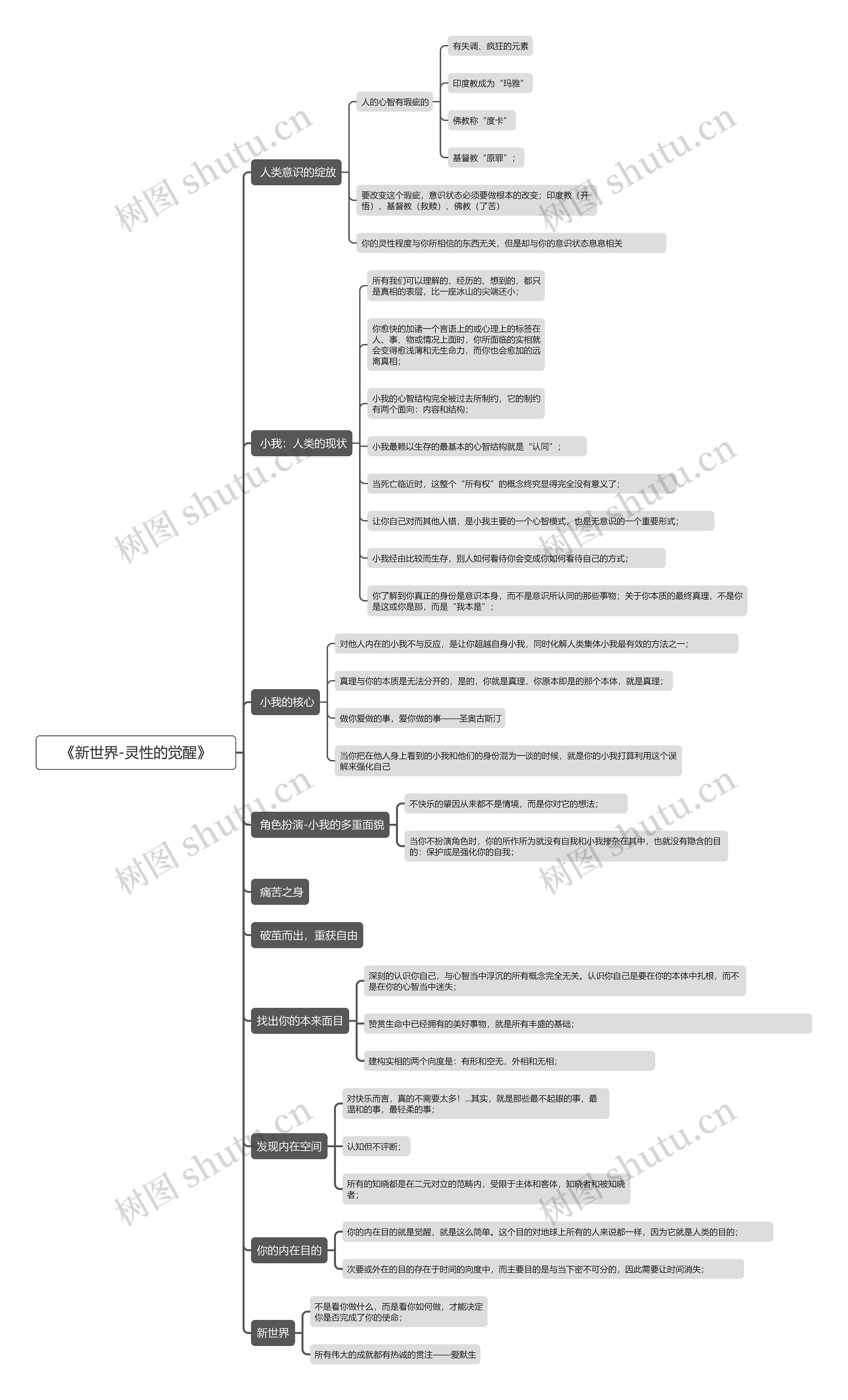 《新世界-灵性的觉醒》思维导图高清图 《新世界-灵性的觉醒》思维导图