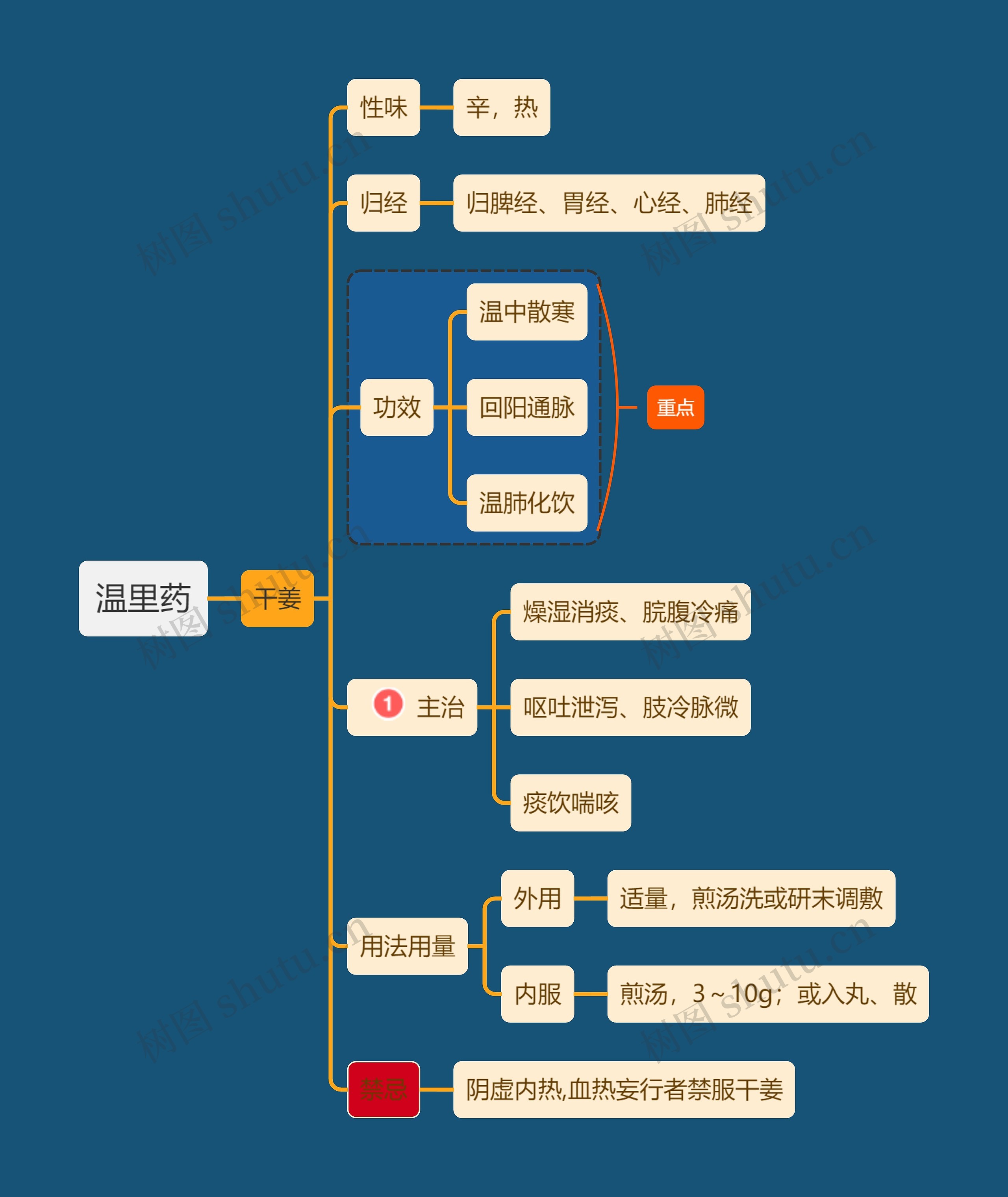 医学知识温里药干姜思维导图