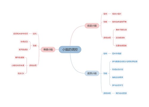 医学知识小脑的调控思维导图