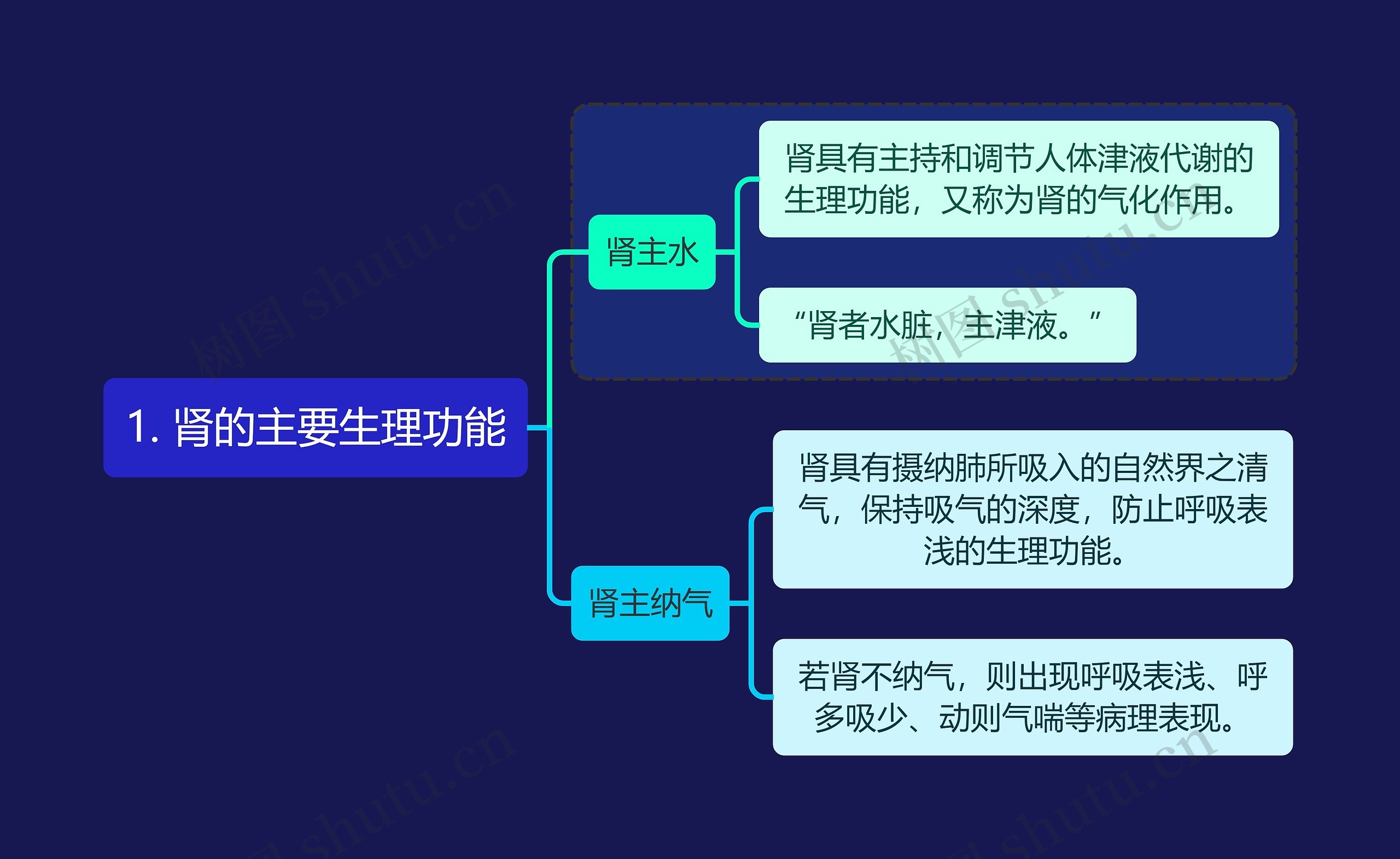 中医知识肾的主要生理功能思维导图