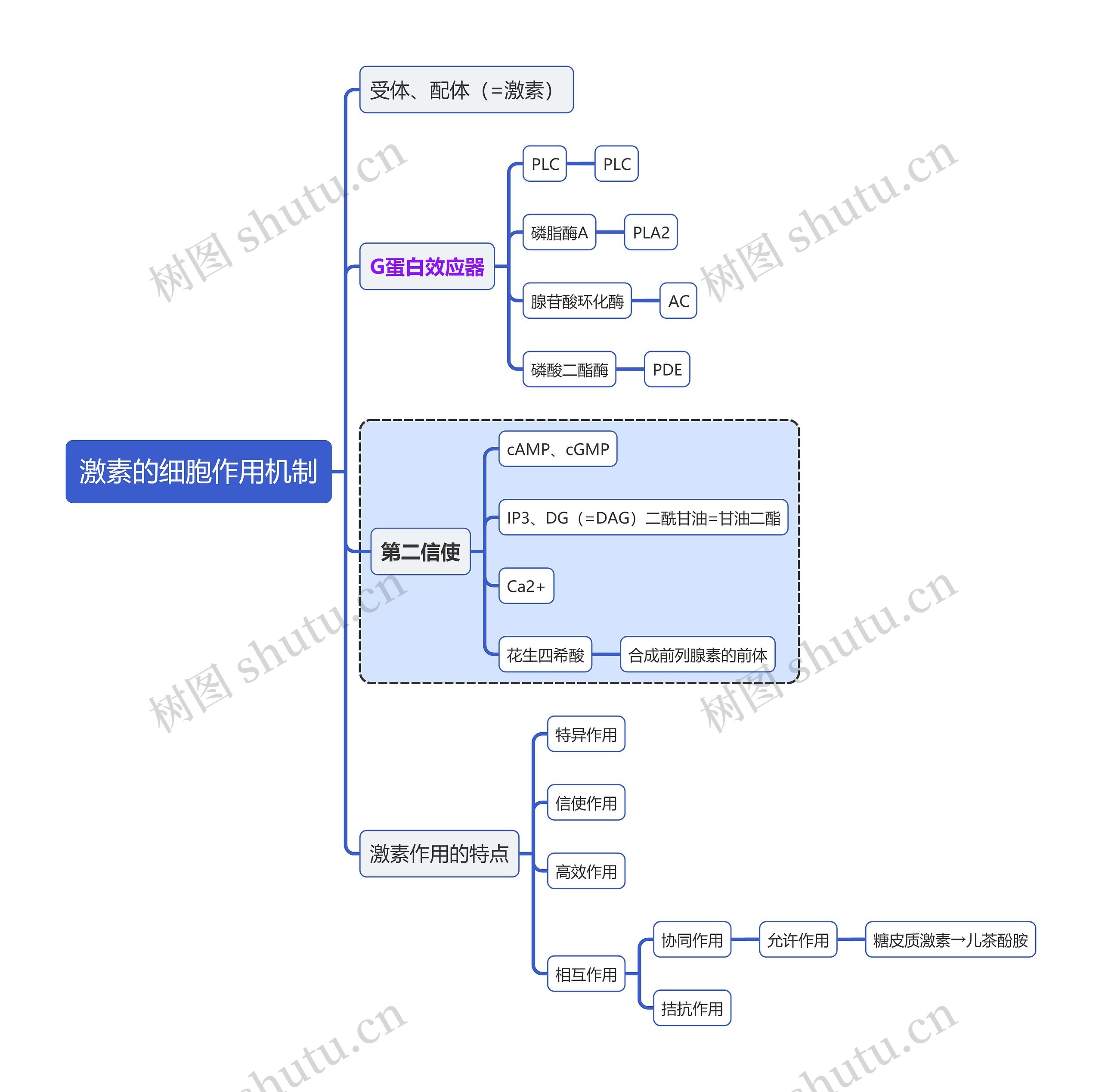 医学知识激素的细胞作用机制思维导图