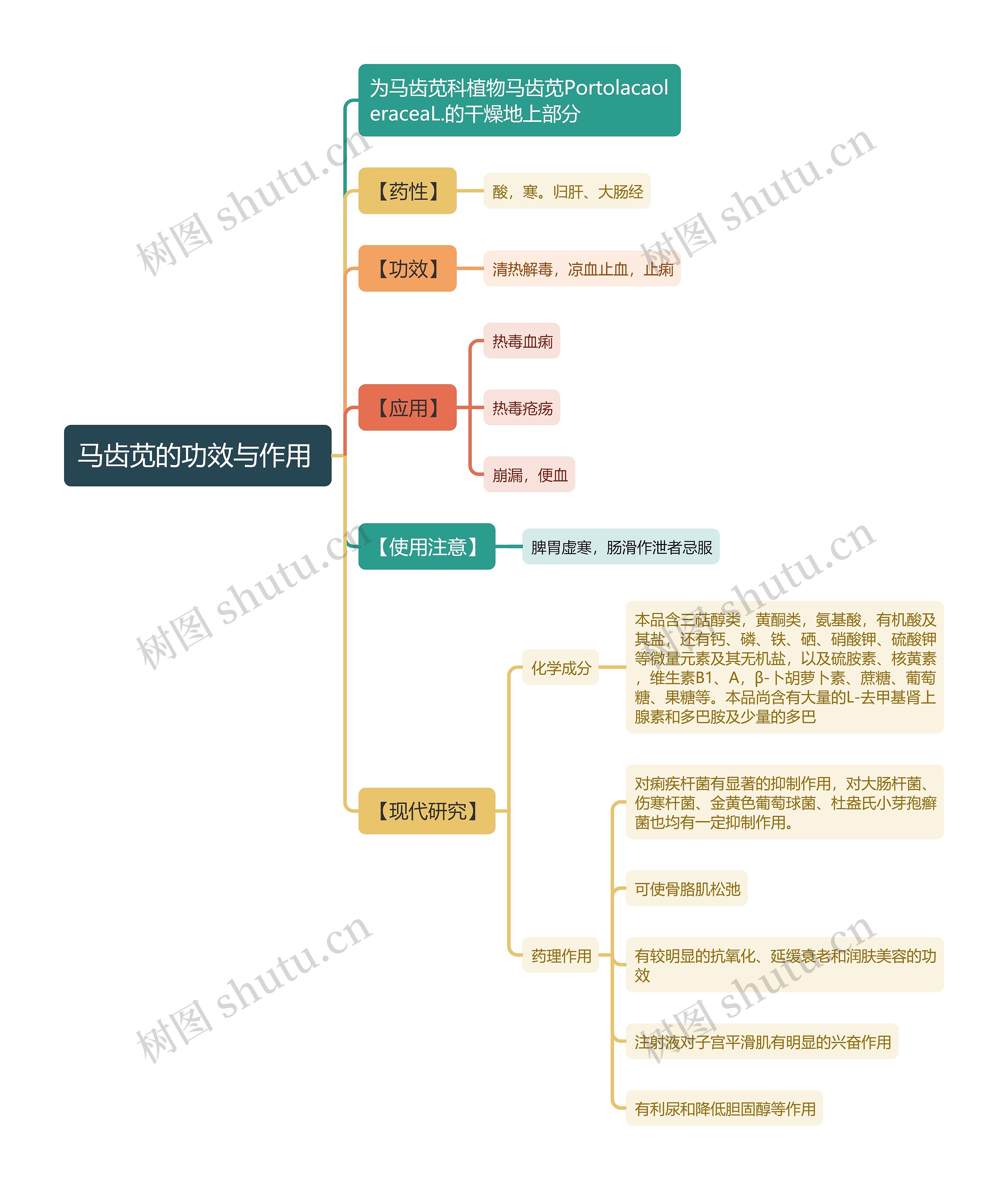马齿苋的功效与作用
思维导图高清图 马齿苋的功效与作用
思维导图