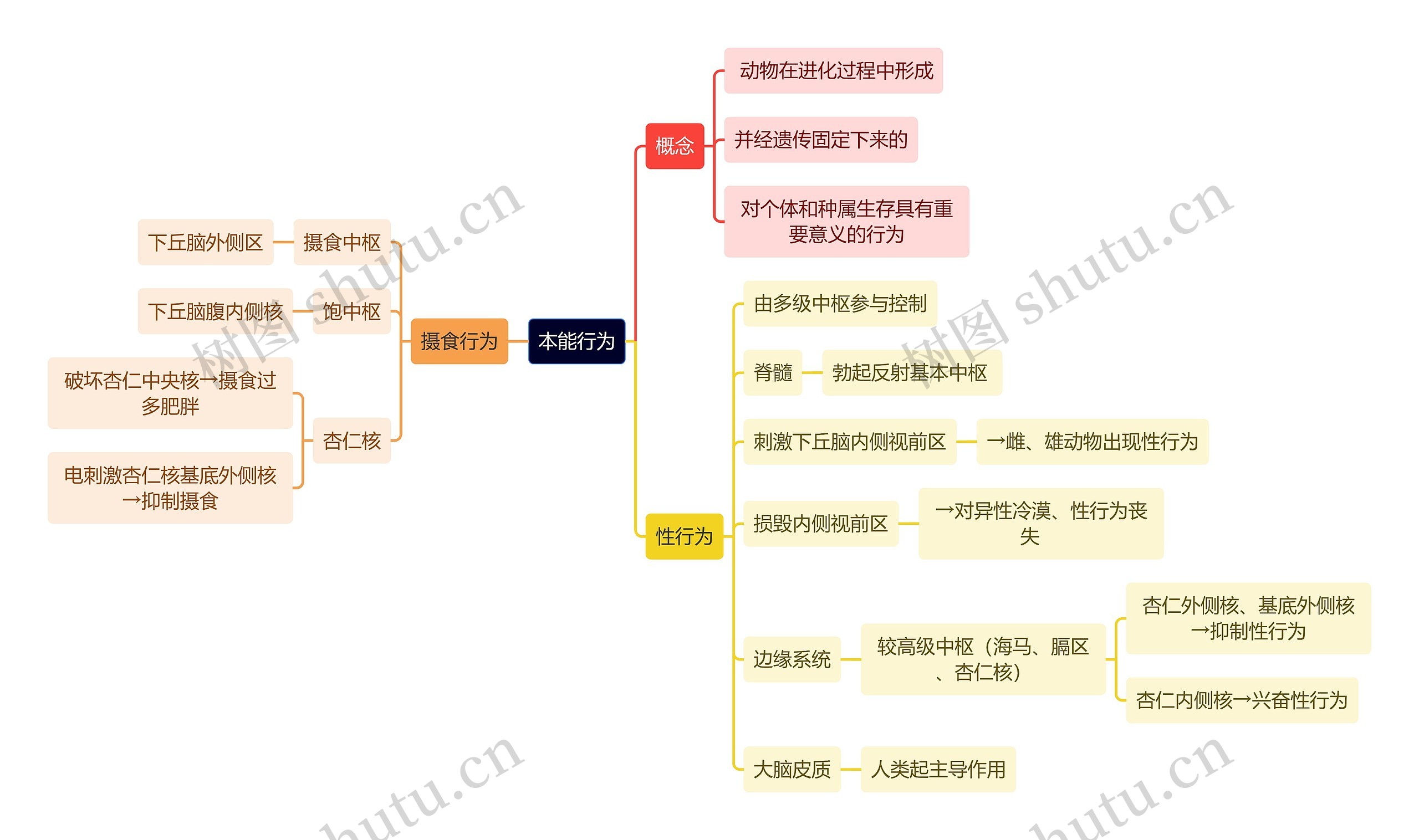 医学知识本能行为思维导图