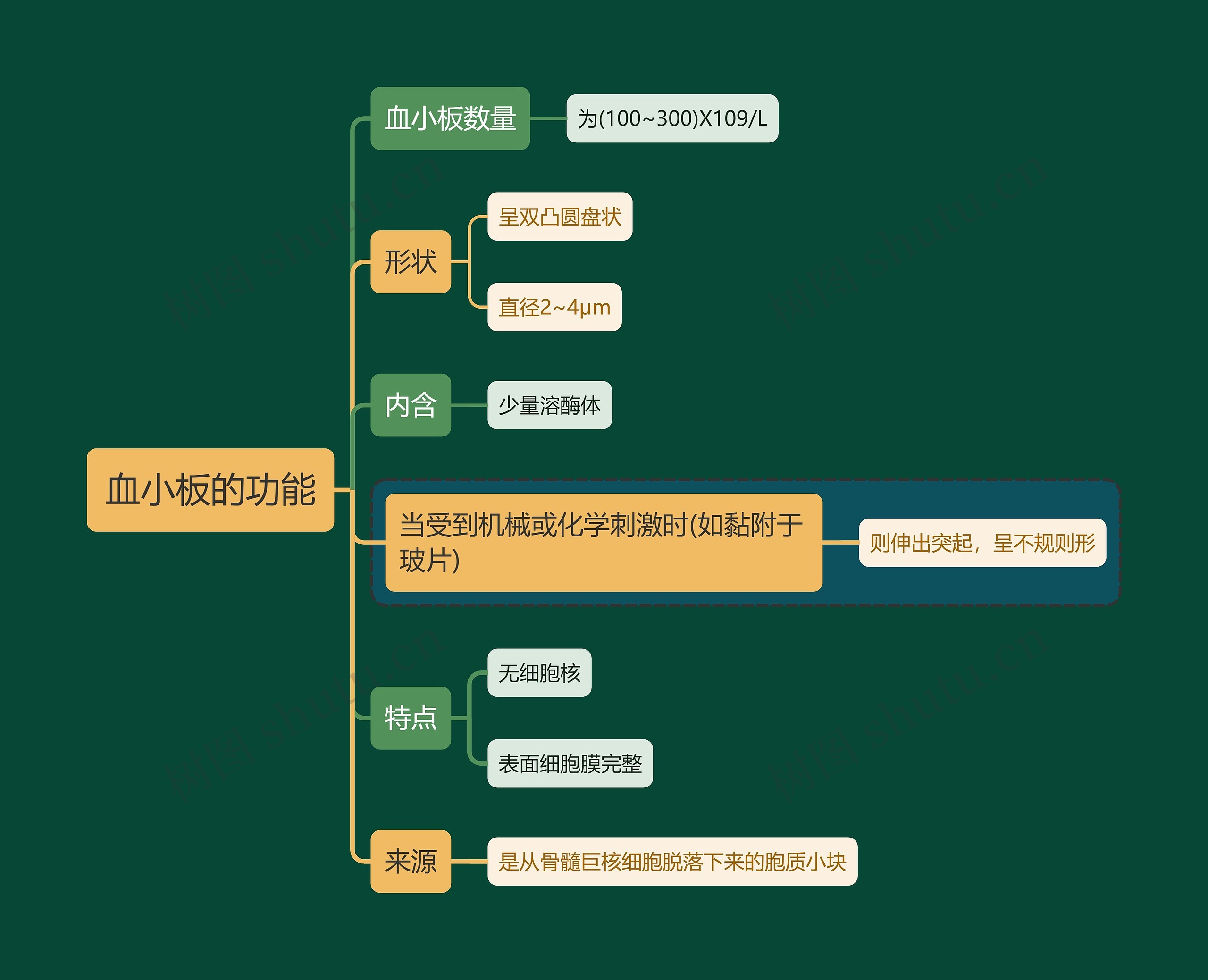 医学知识血小板的功能思维导图