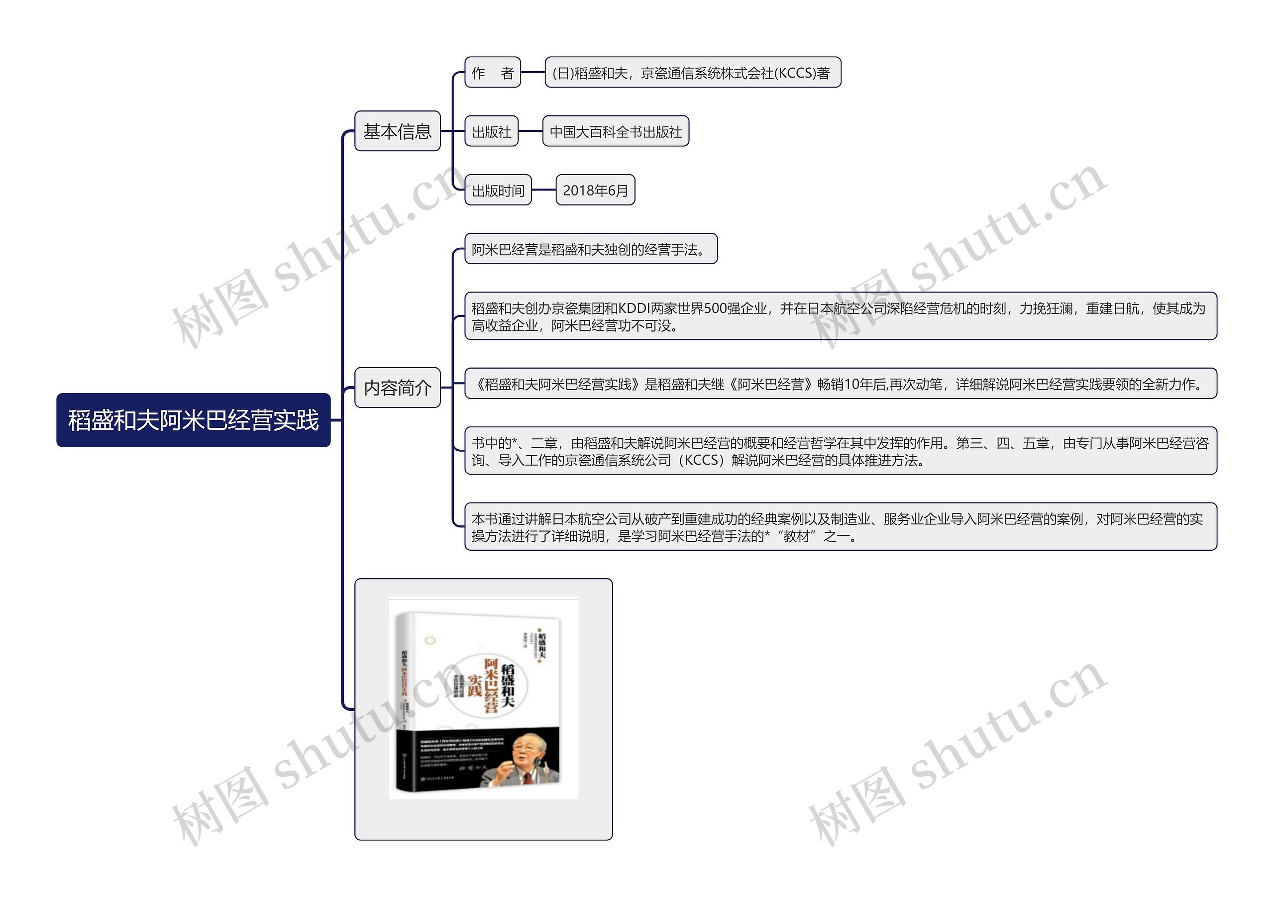 《稻盛和夫阿米巴经营实践》