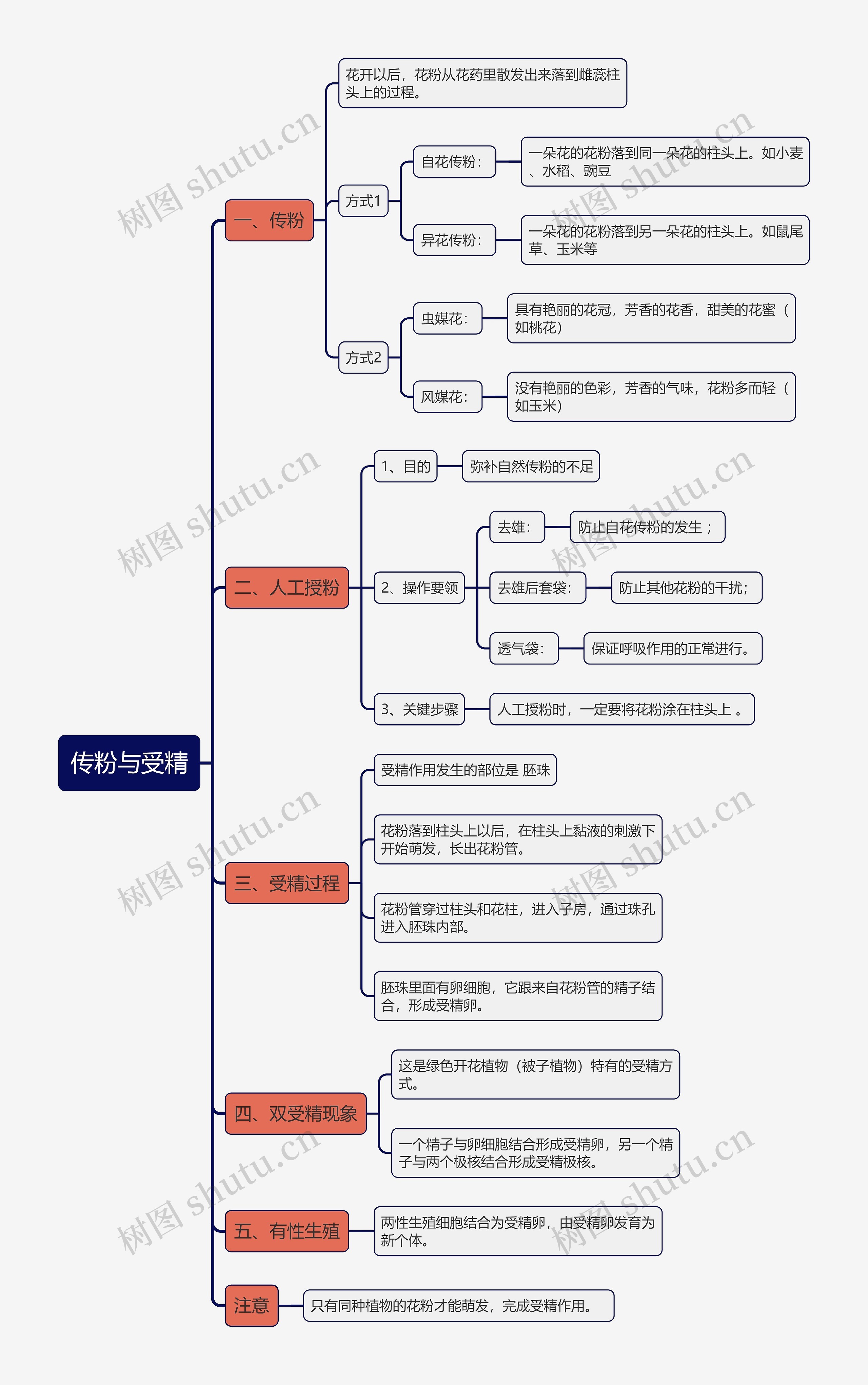 传粉与受精