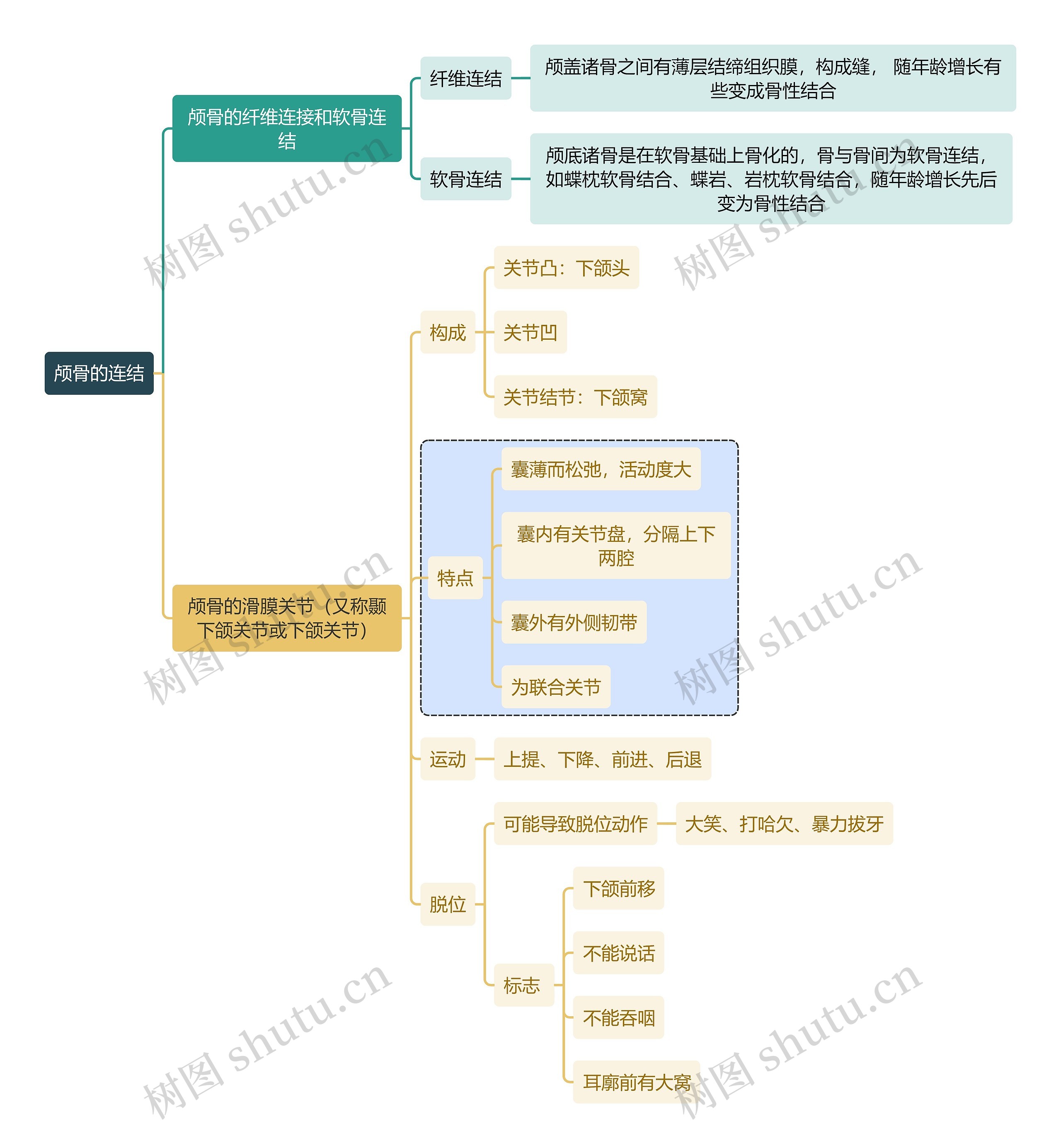 骨学知识颅骨的连结思维导图