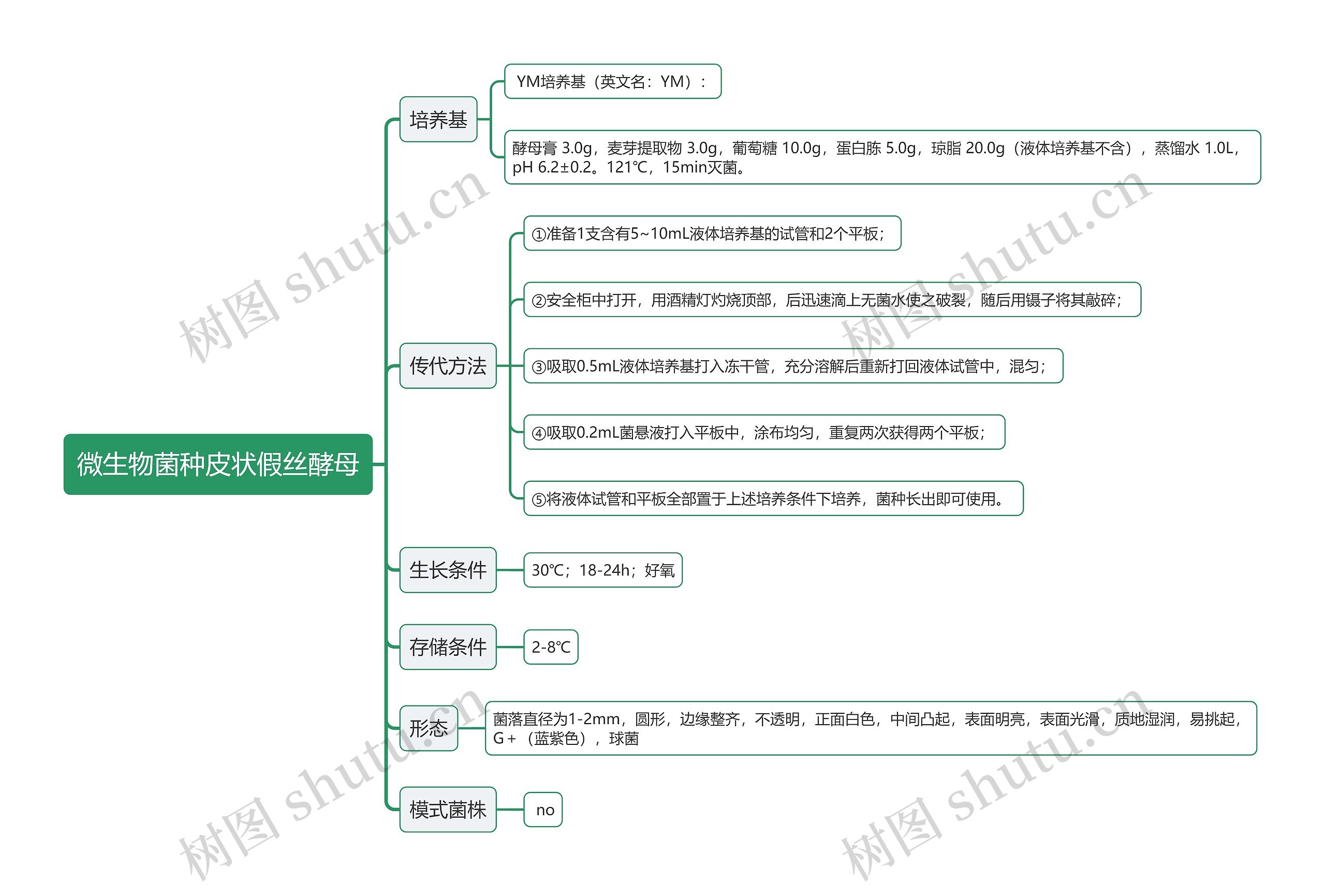 微生物菌种皮状假丝酵母思维导图