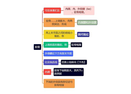 医学知识胫骨思维导图