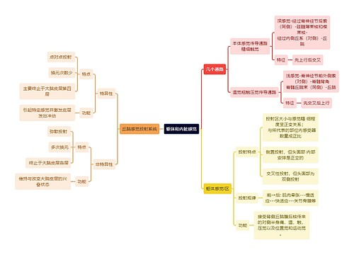 医学知识躯体和内脏感觉思维导图