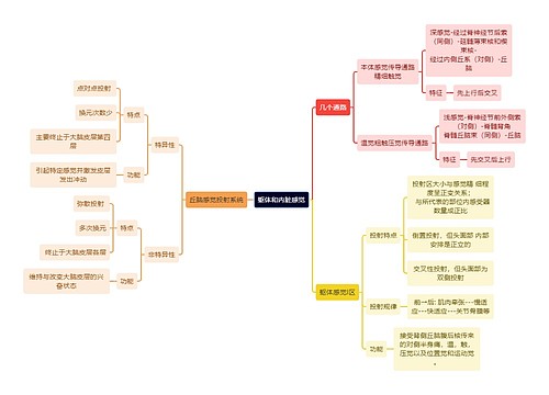 医学知识躯体和内脏感觉思维导图