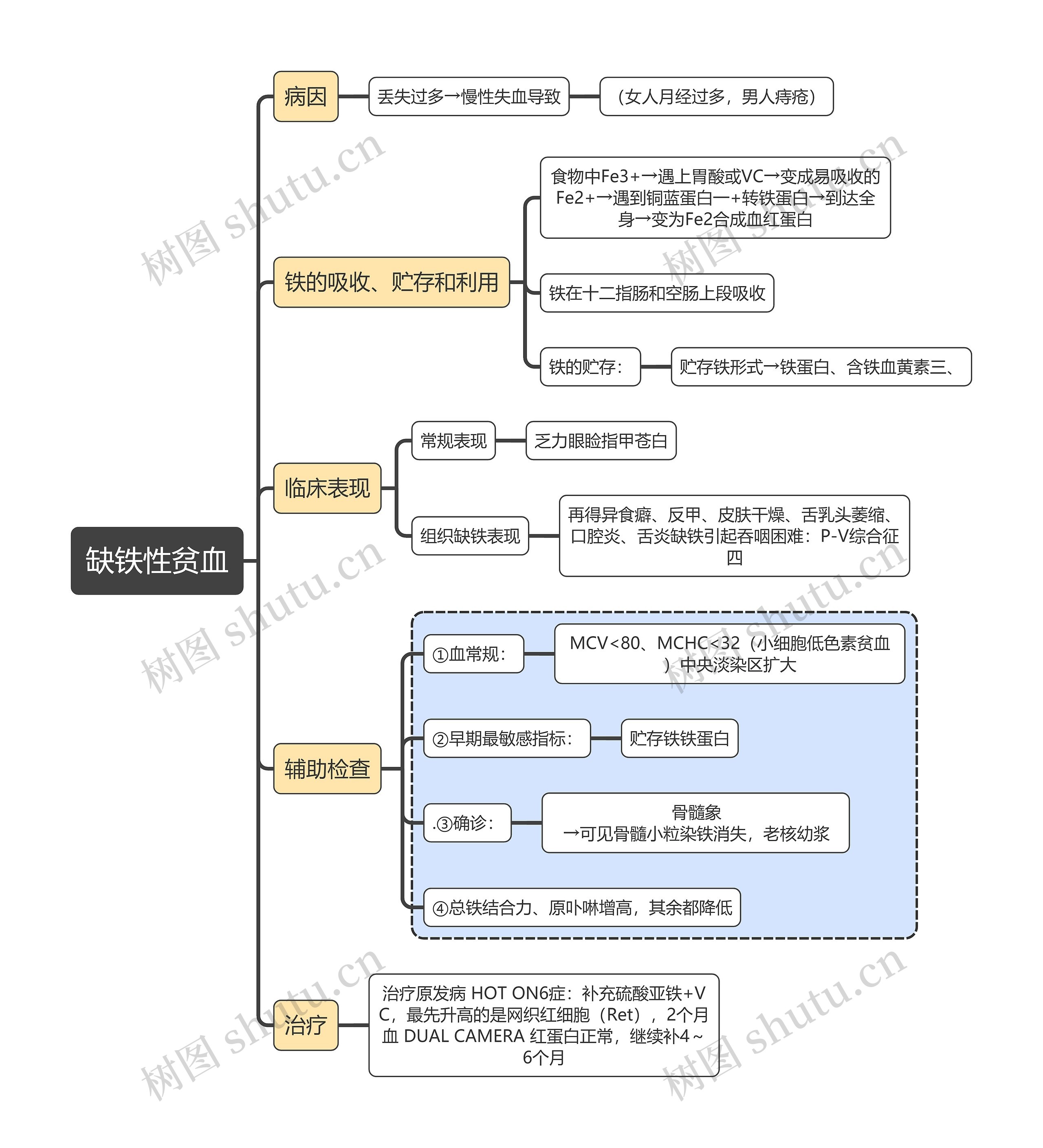 医学知识缺铁性贫血思维导图