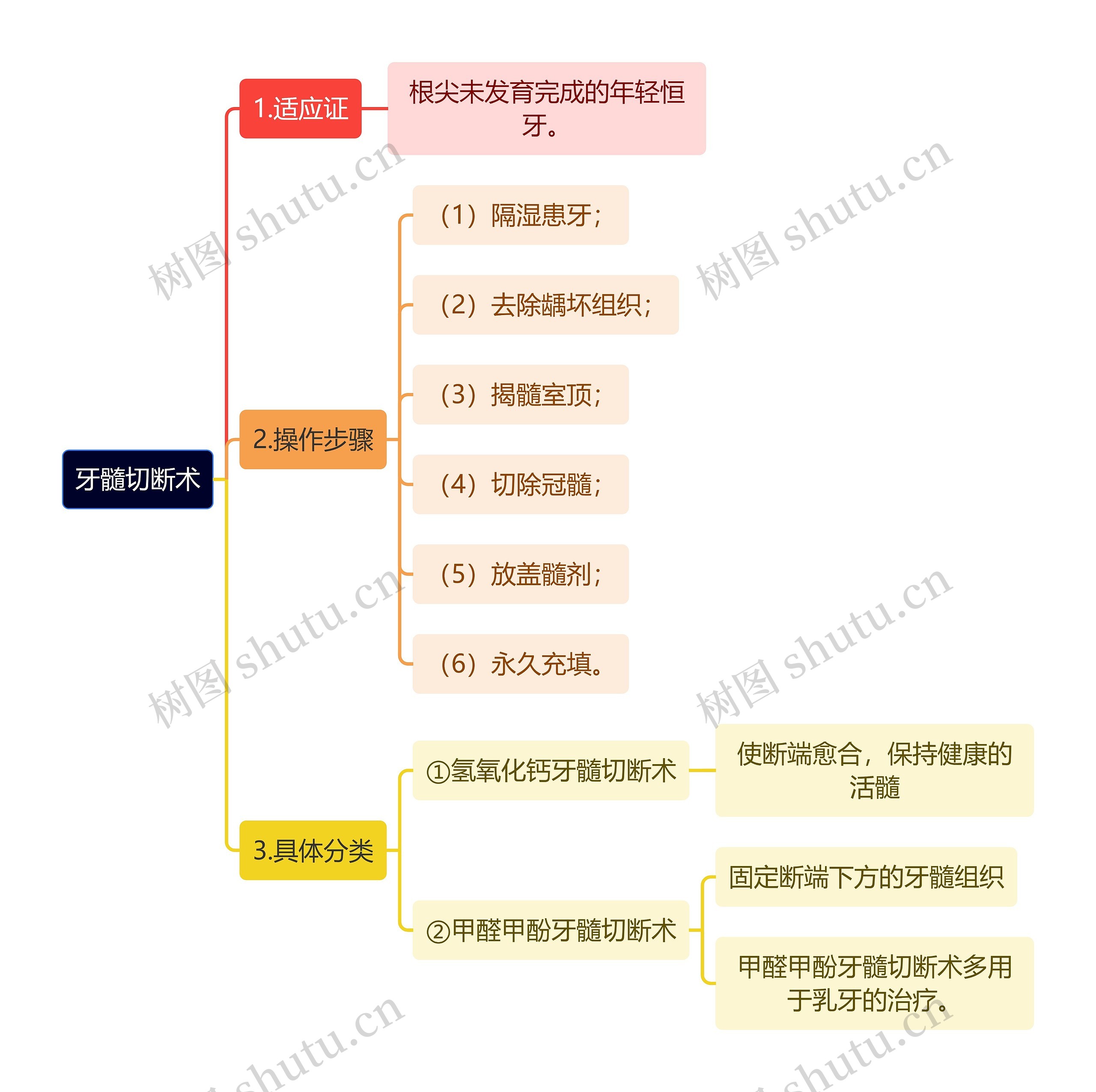 医学知识牙髓切断术思维导图