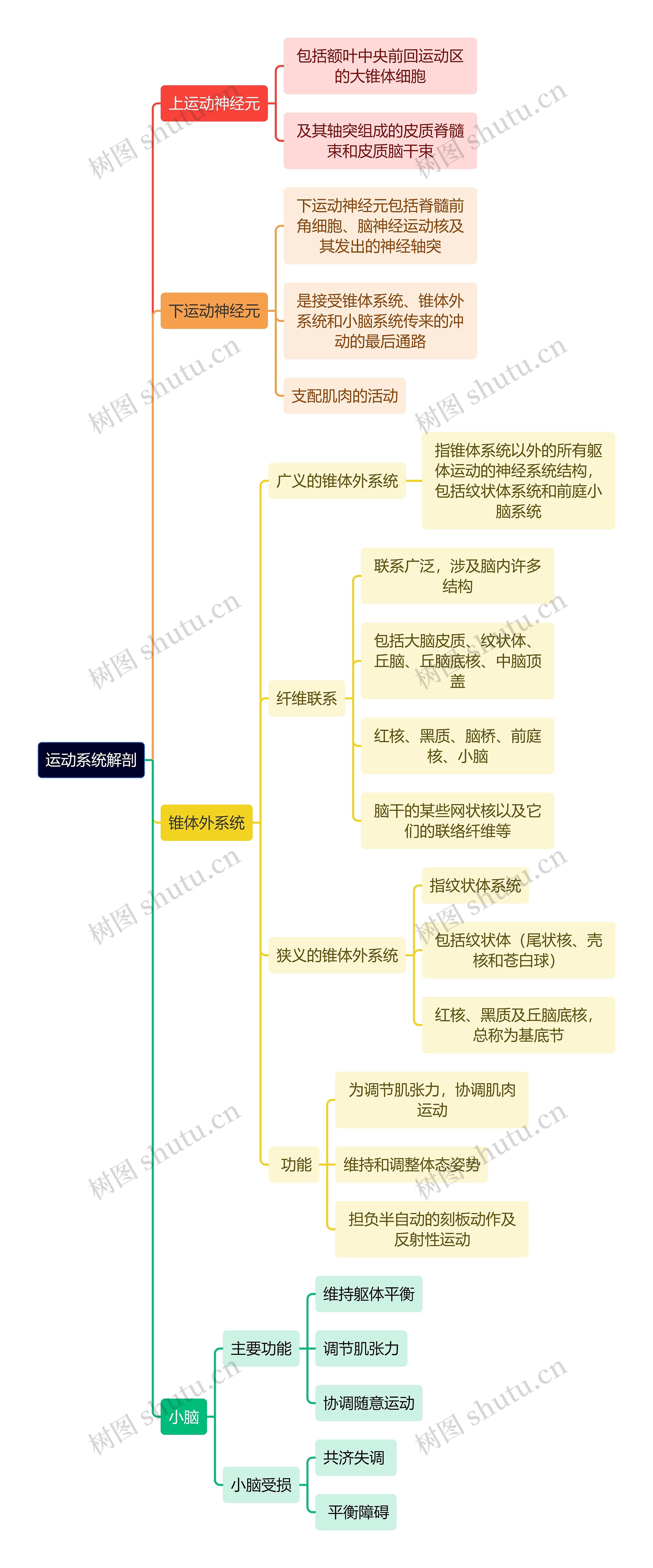 解剖学知识运动系统解剖思维导图