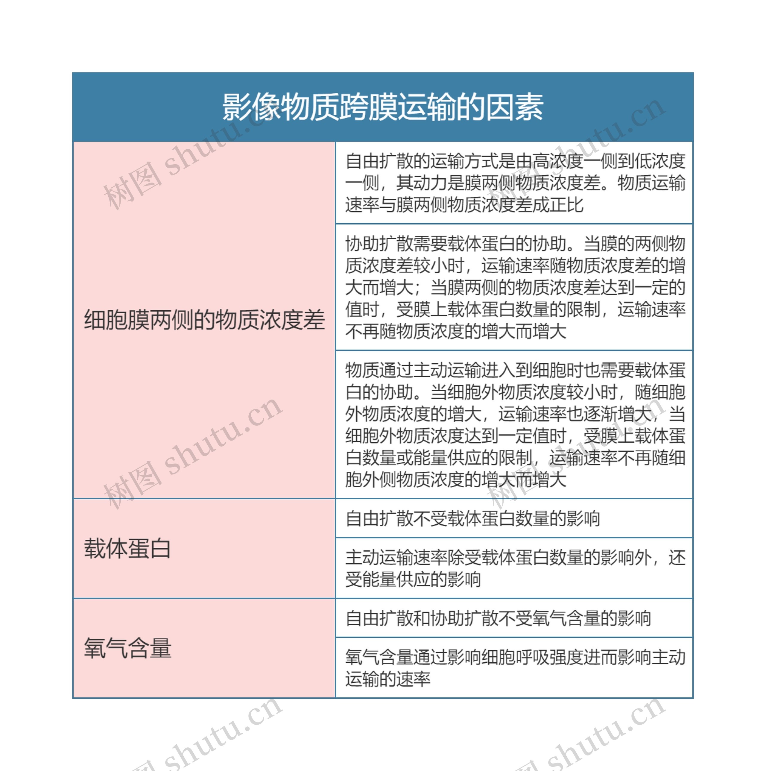 高中生物必修一影像物质跨膜运输的因素思维导图