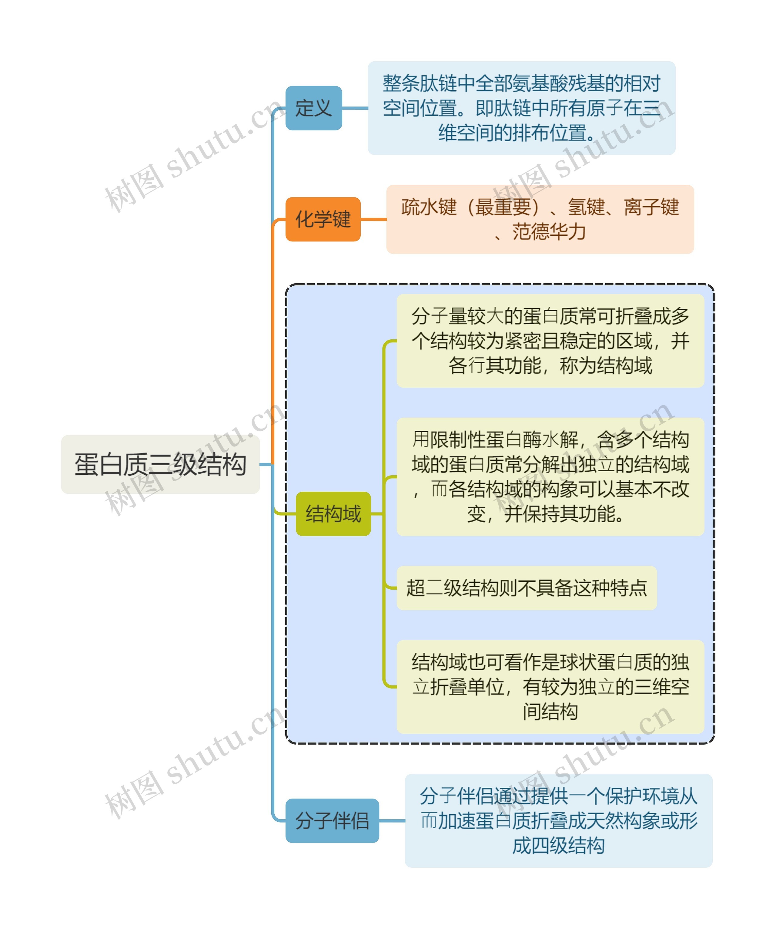 医学知识蛋白质三级结构思维导图