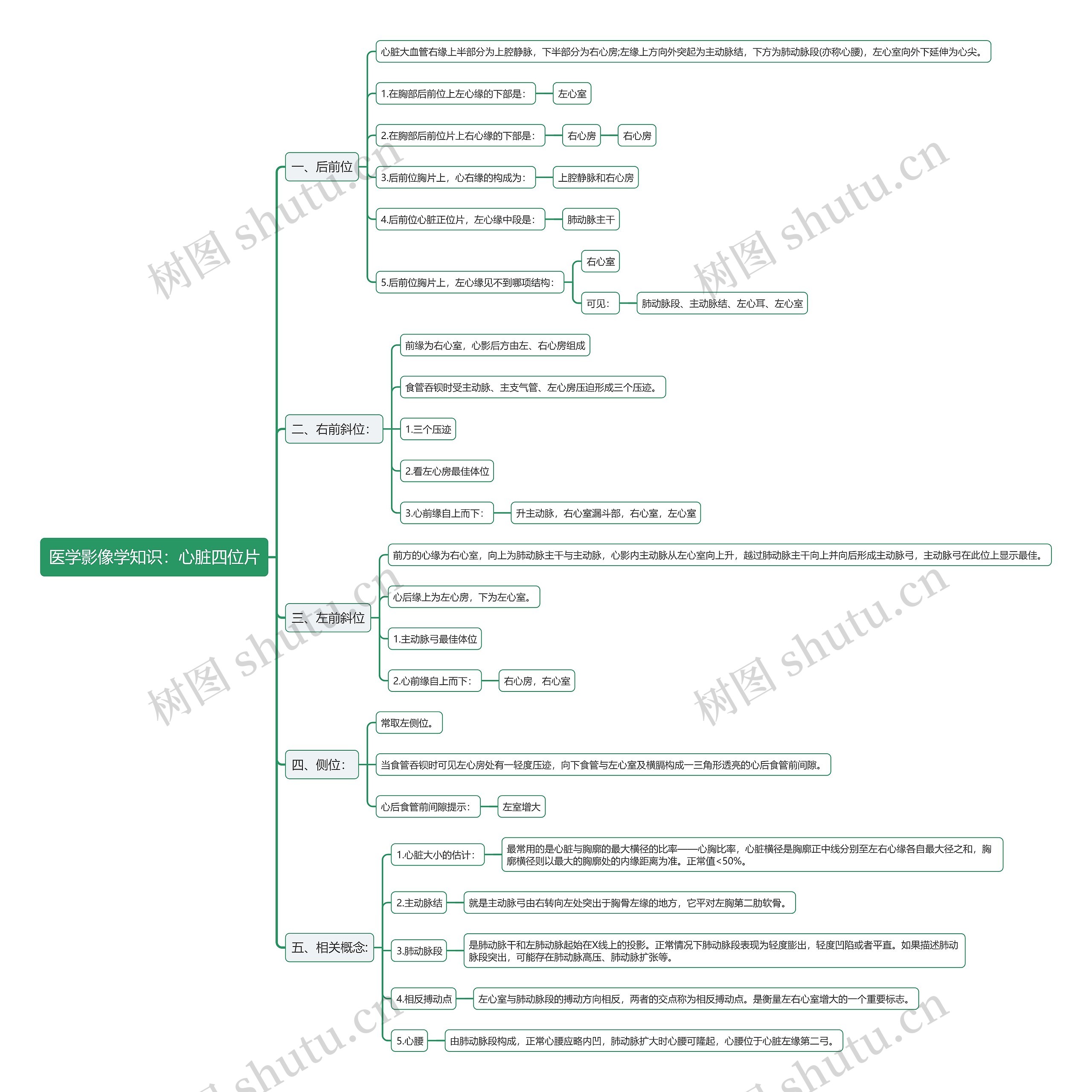 医学影像学知识：心脏四位片思维导图