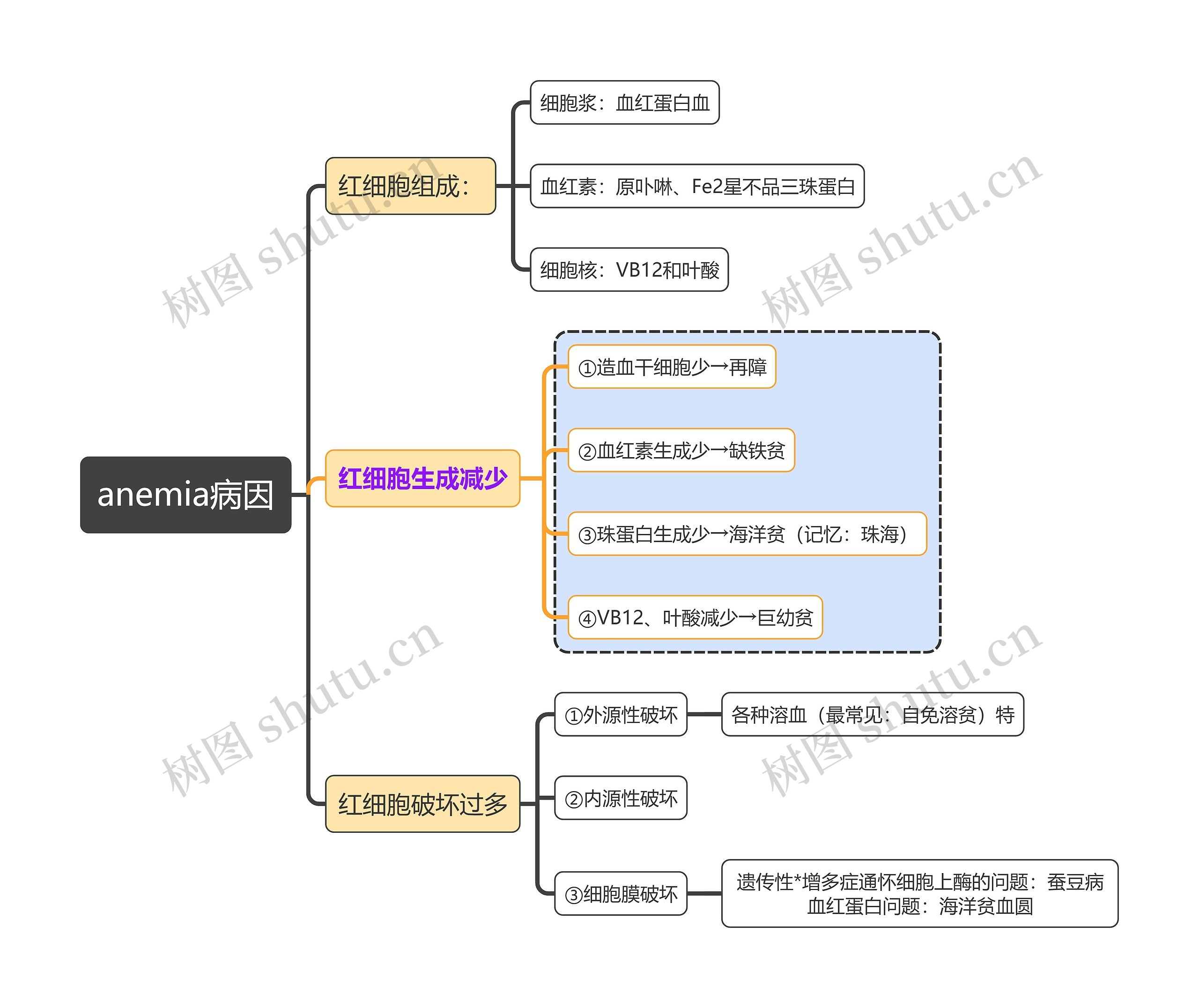 医学知识anemia病因思维导图