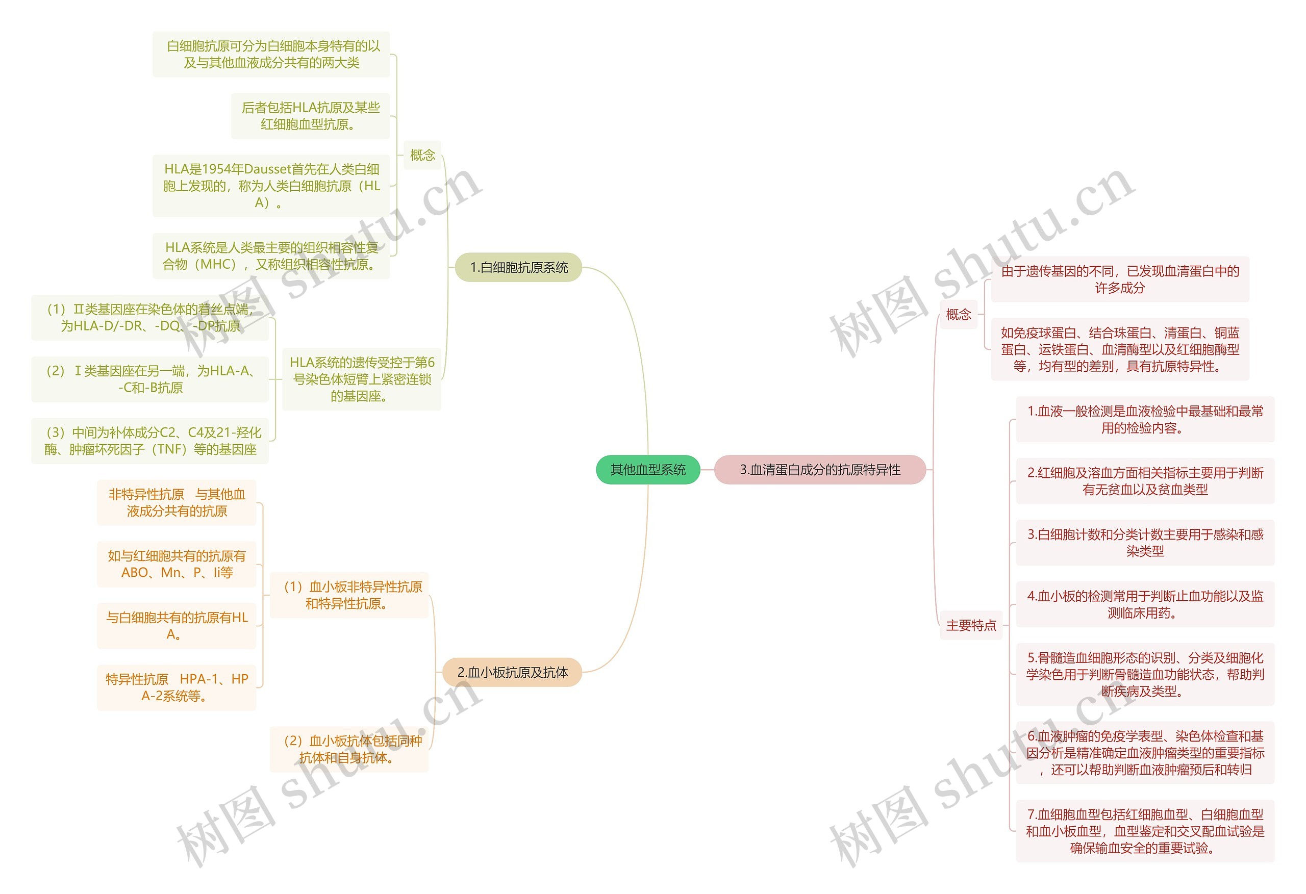 医学知识其他血型系统思维导图