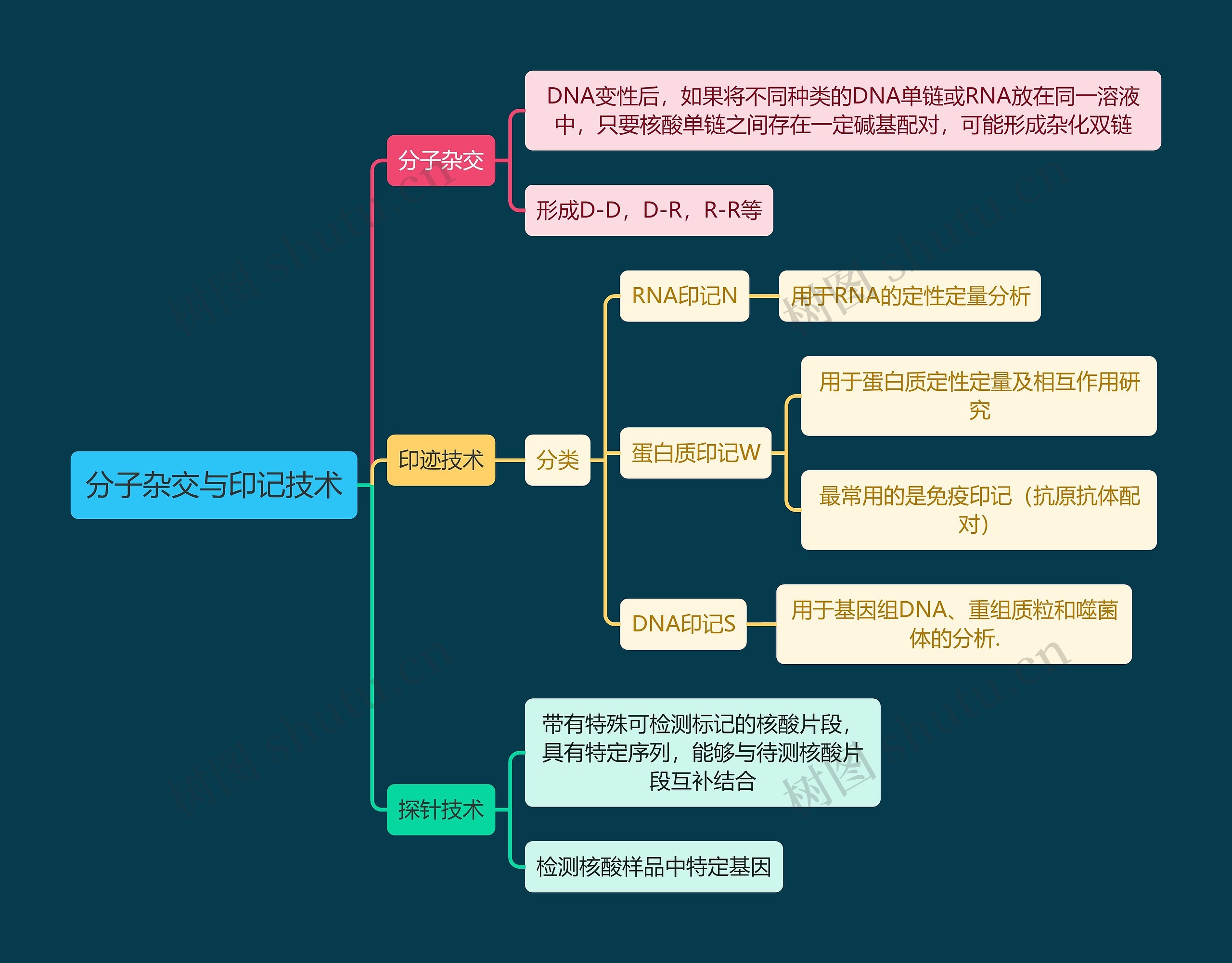 医学知识分子杂交与印记技术思维导图