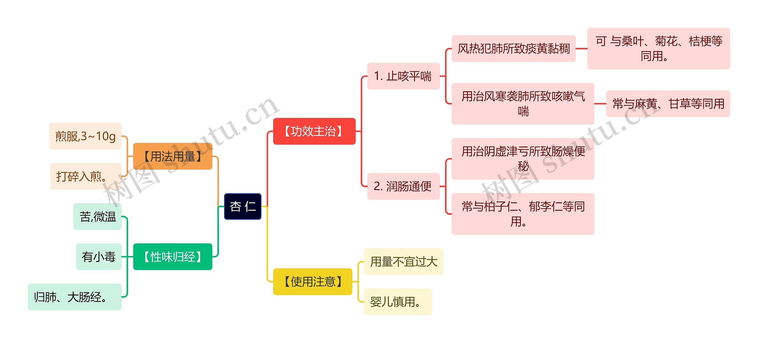 中医知识杏 仁思维导图