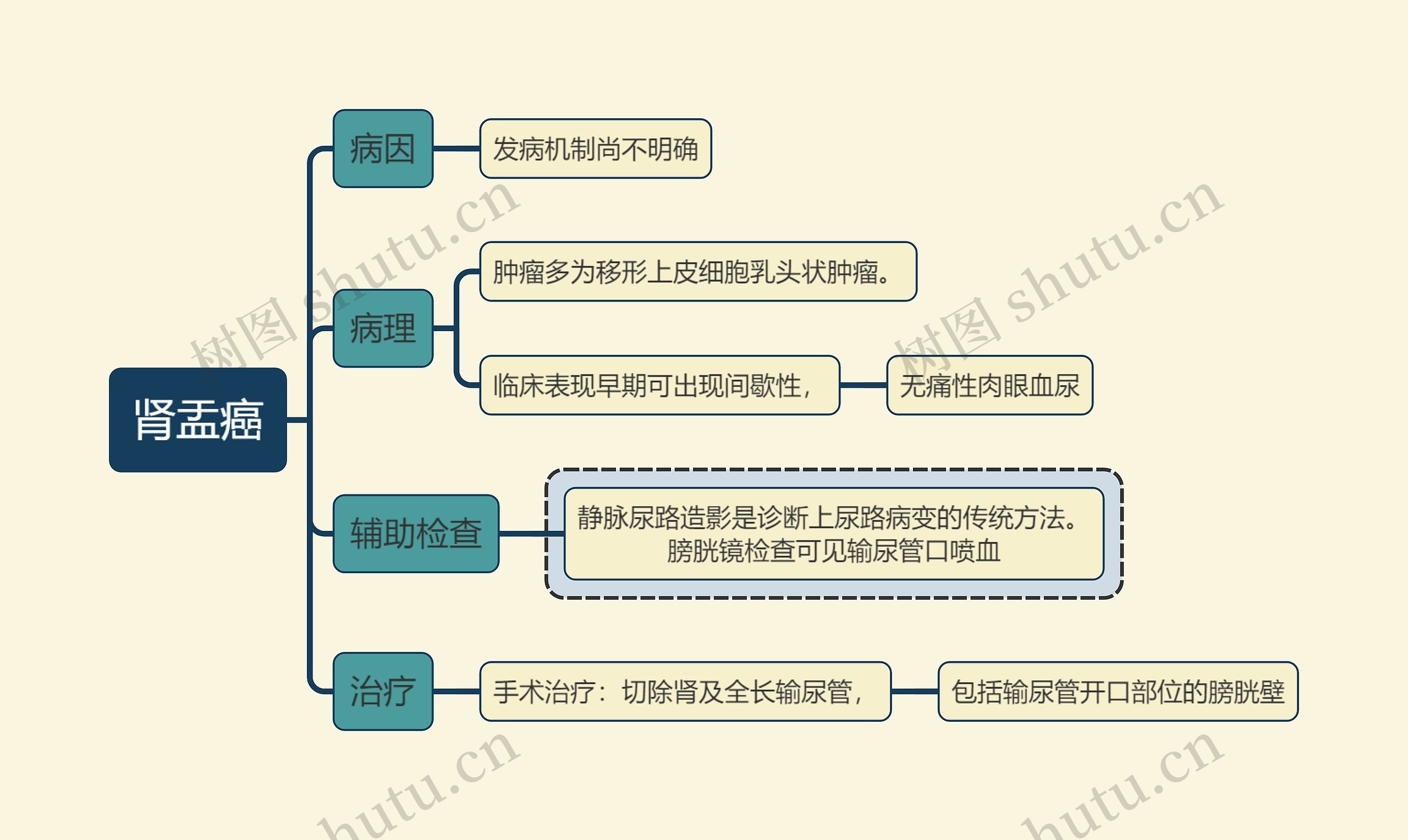 内科学知识肾盂癌思维导图