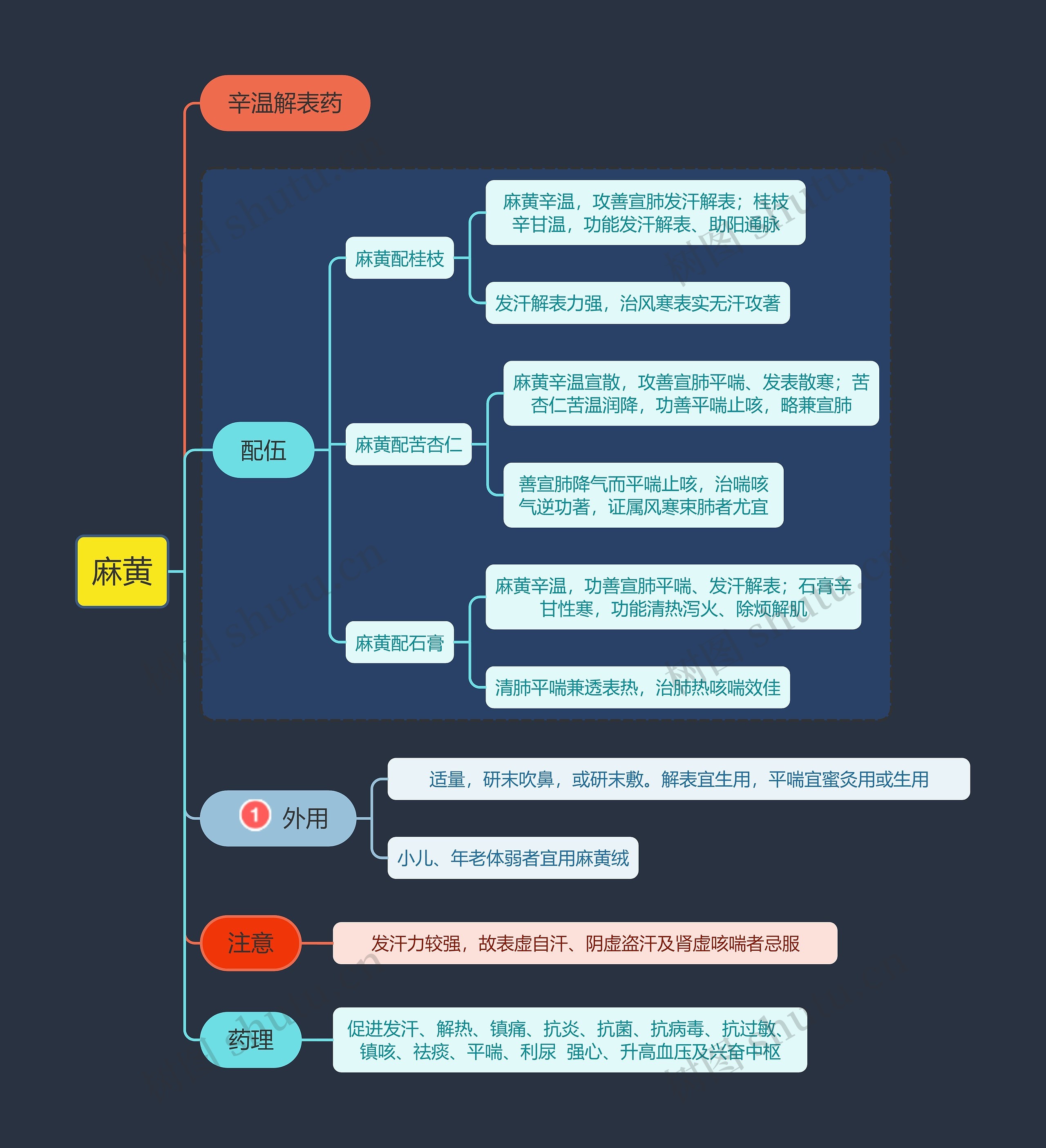 医学知识麻黄思维导图