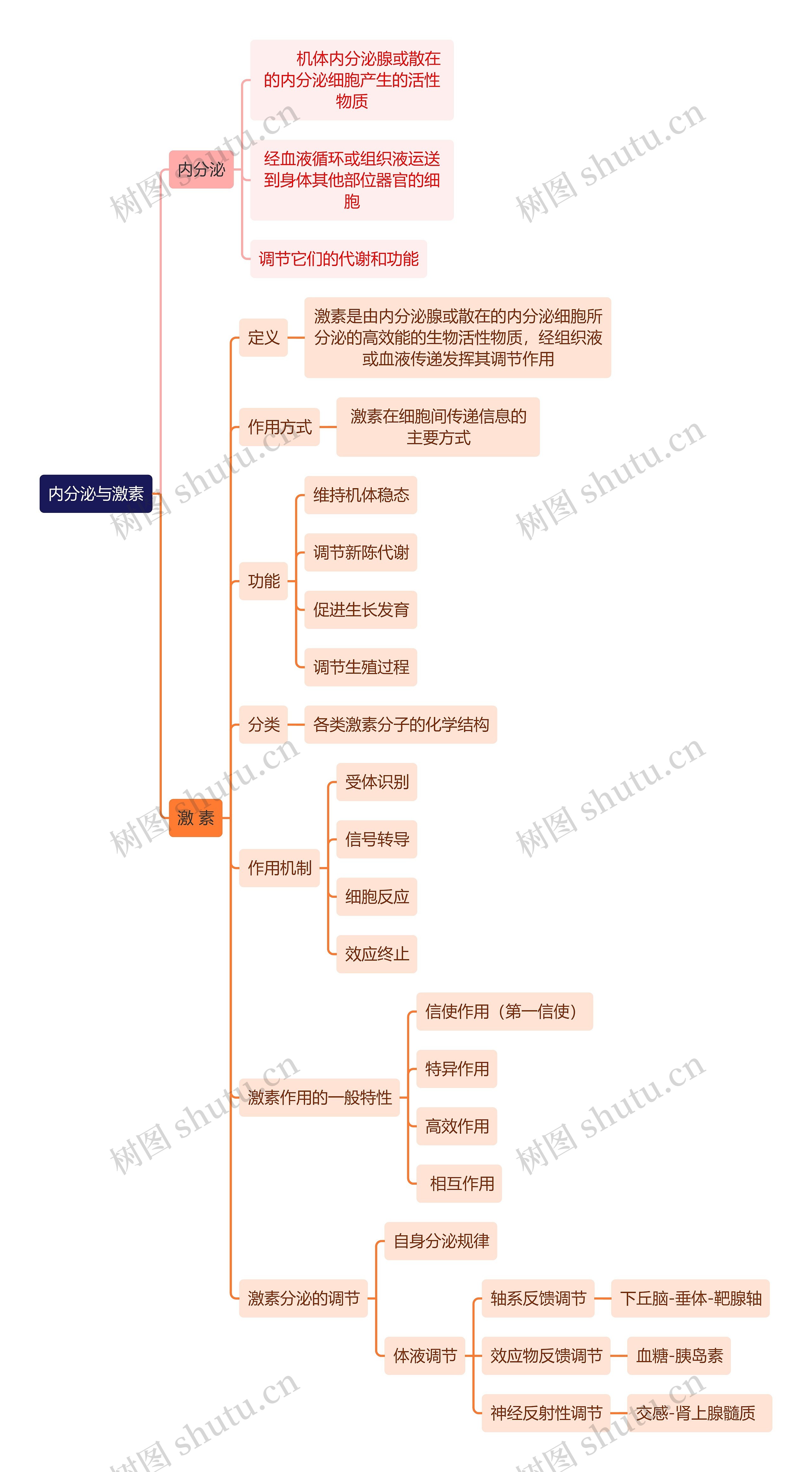 医学知识内分泌与激素思维导图