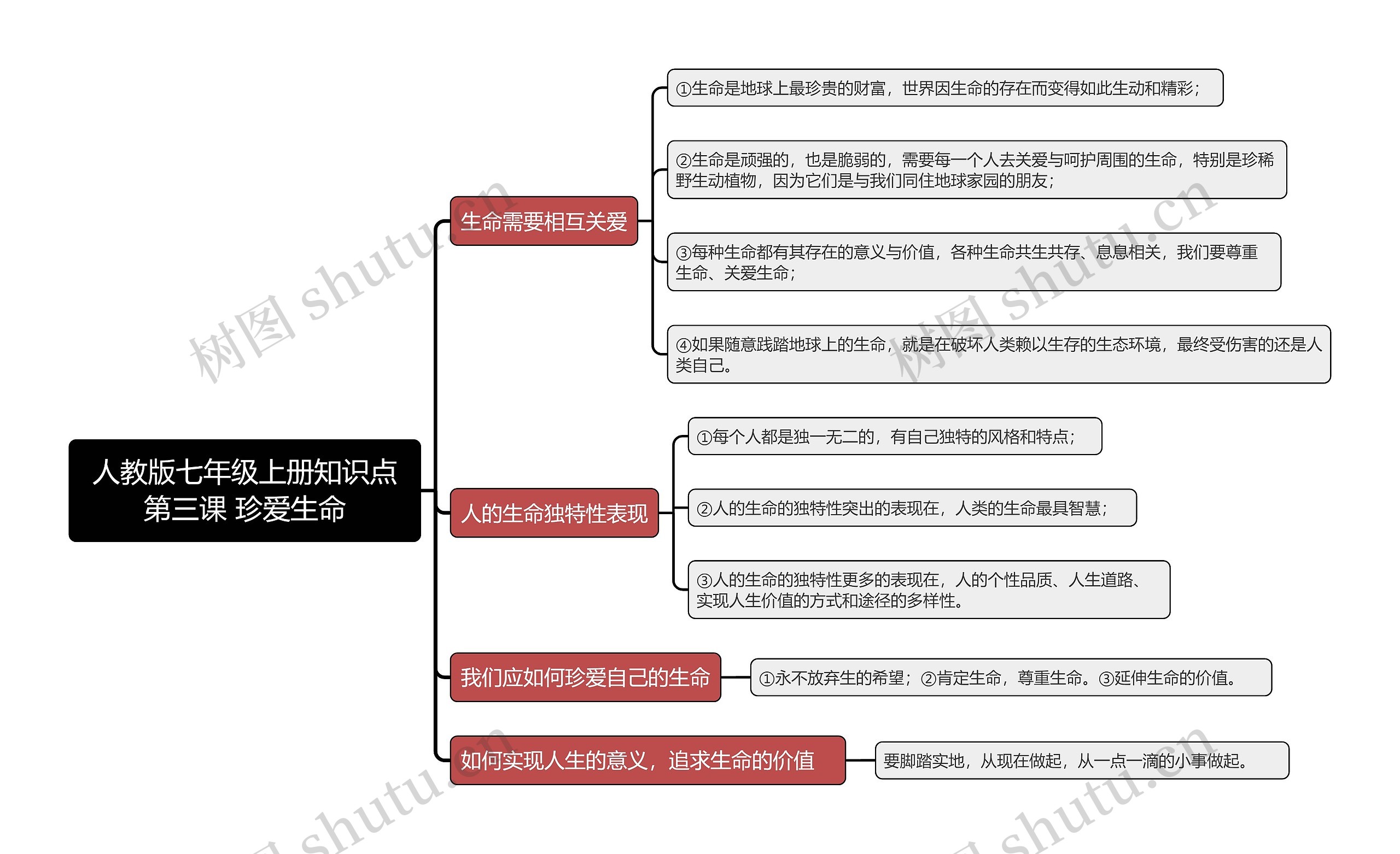 人教版七年级上册知识点第三课 珍爱生命