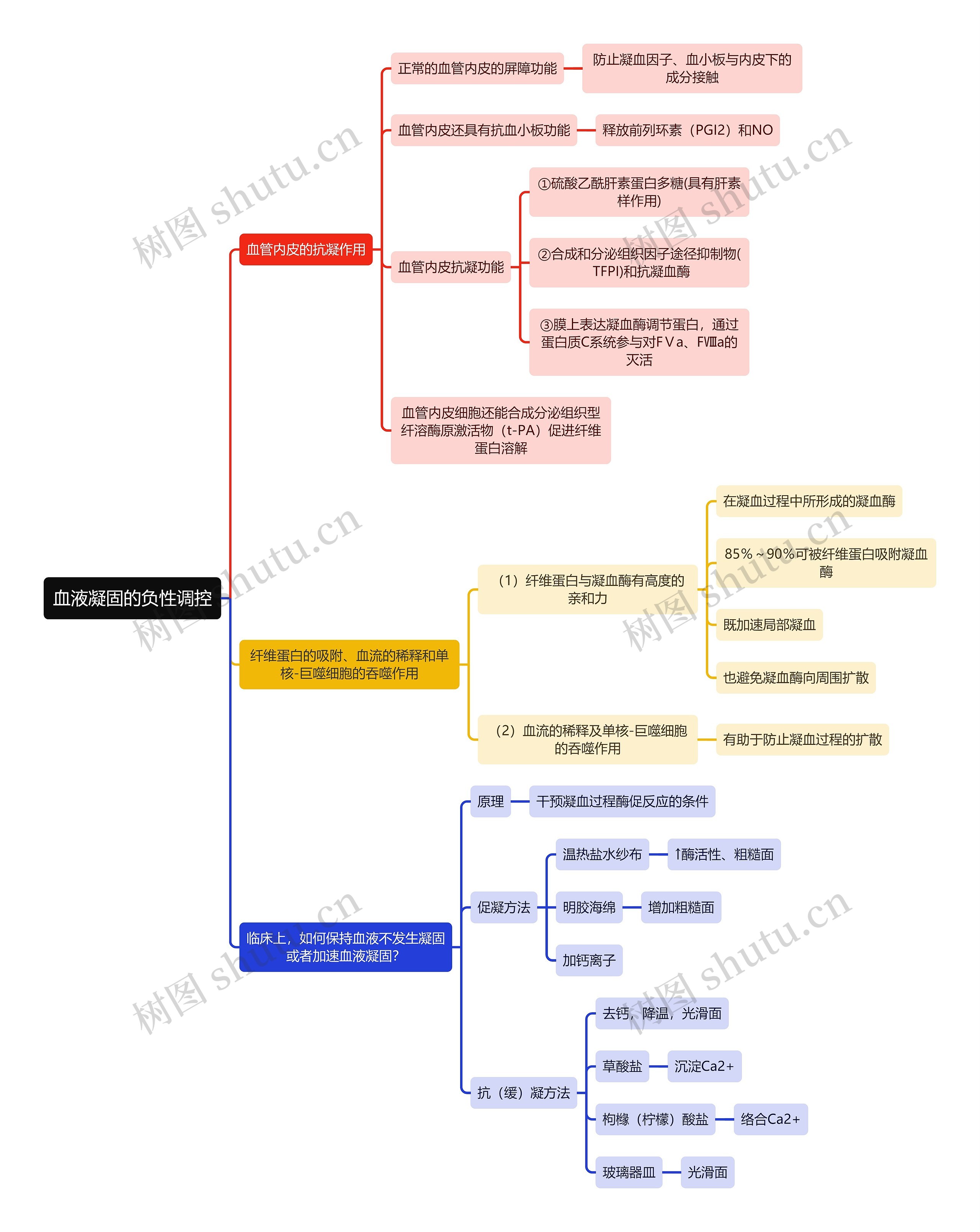 医学知识血液凝固的负性调控思维导图