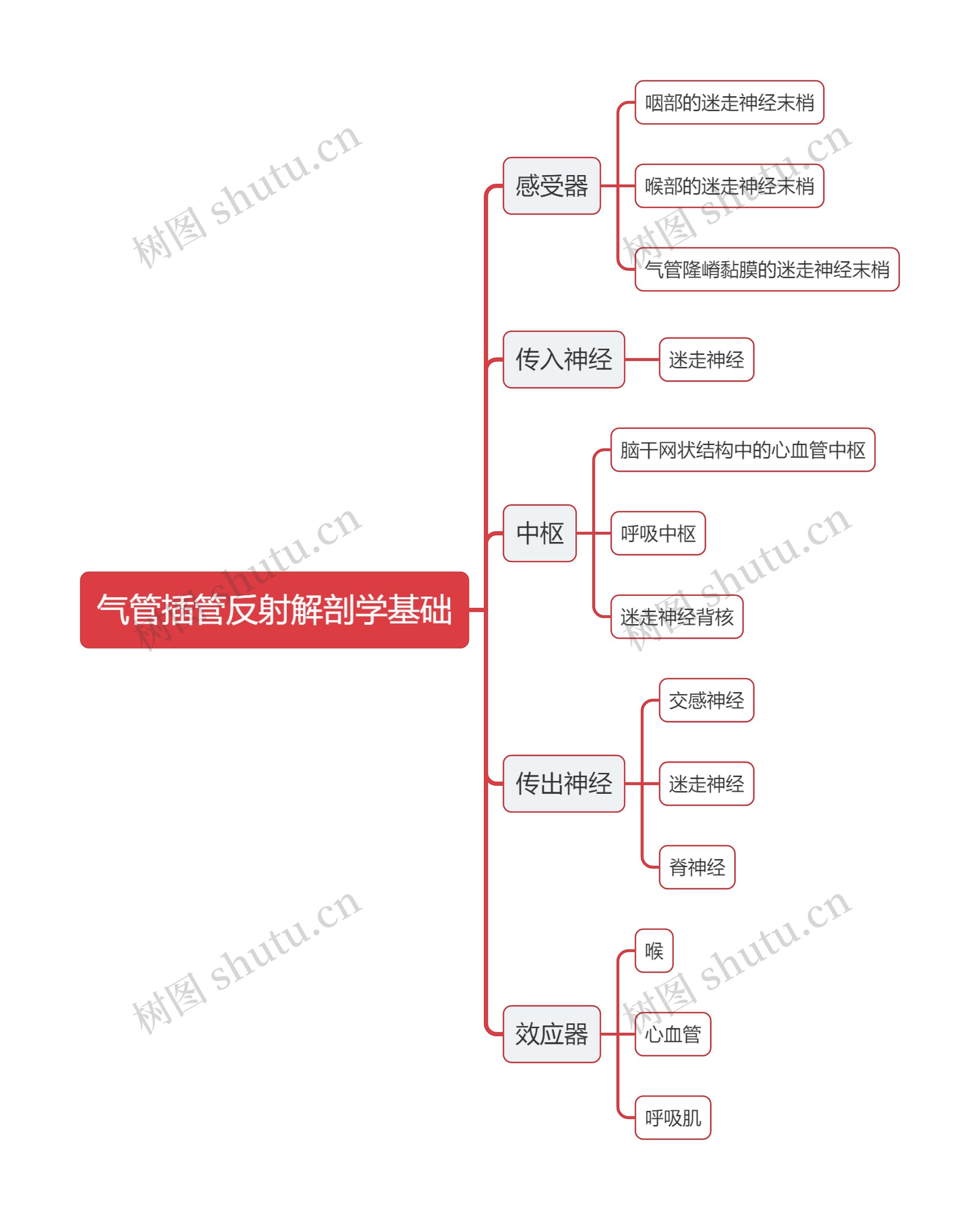 医学气管插管反射解剖学基础思维导图