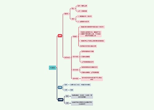 解剖学知识大腿肌思维导图