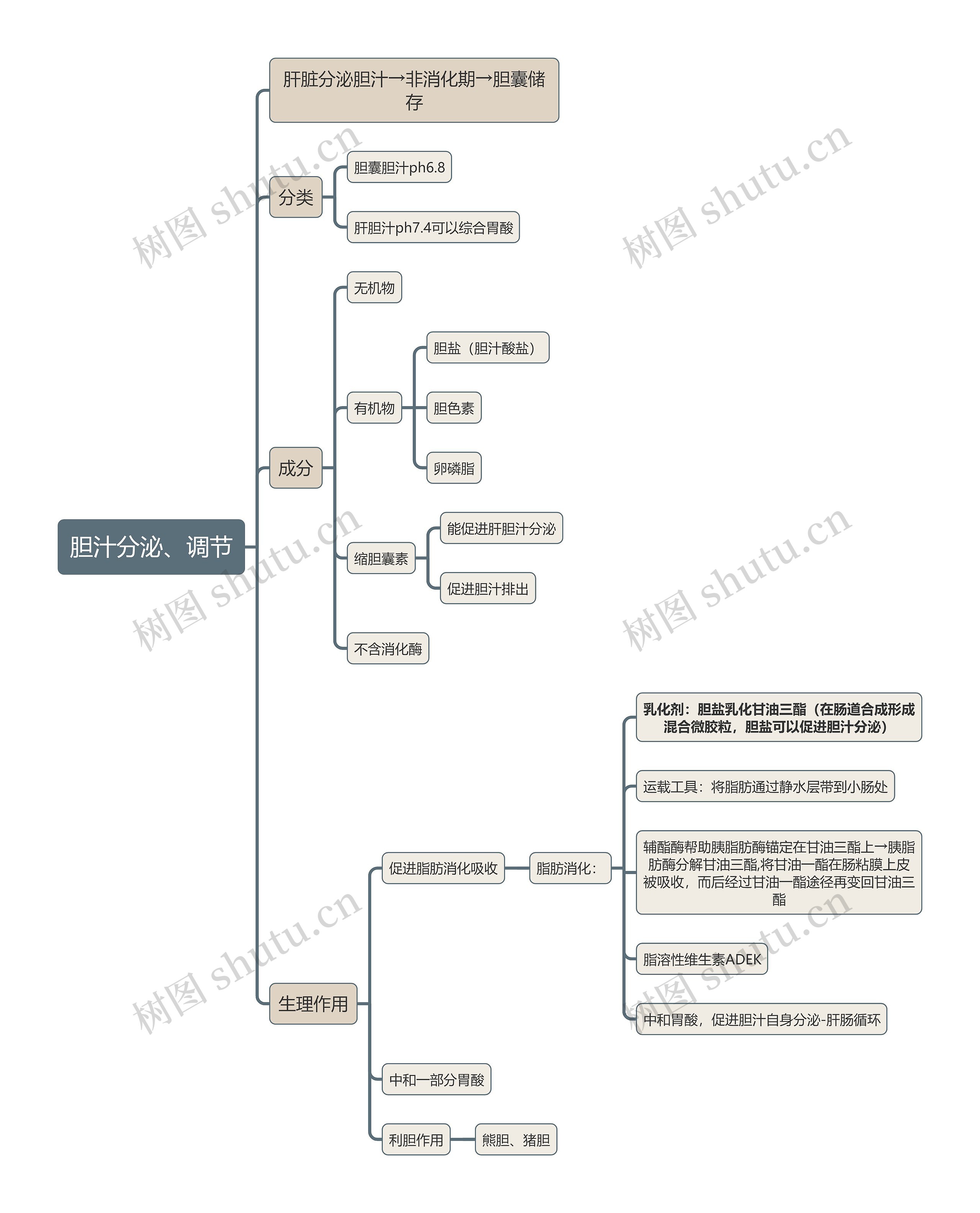医学知识胆汁分泌、调节思维导图高清图 医学知识胆汁分泌、调节思维导图