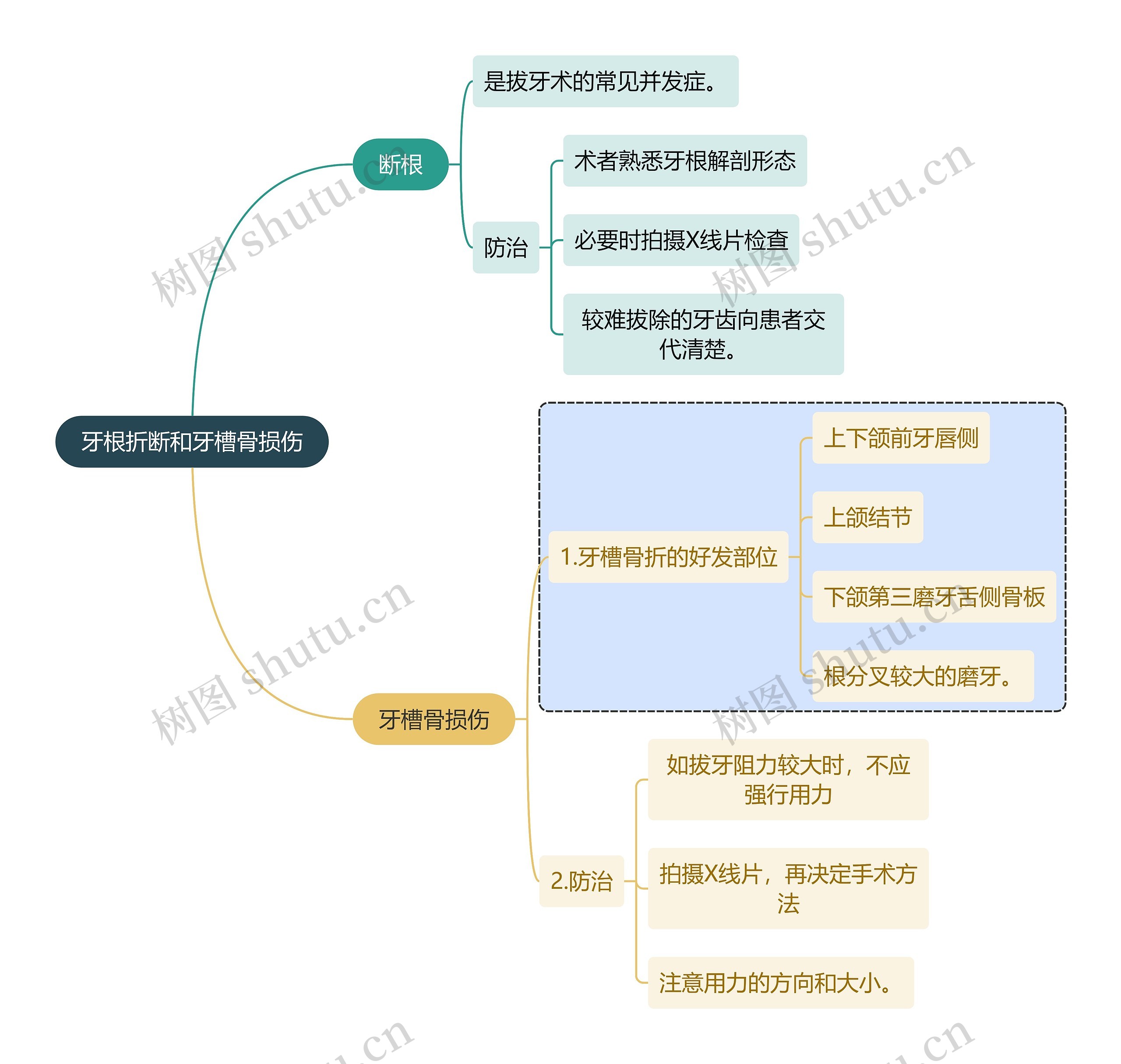 医学知识牙根折断和牙槽骨损伤思维导图