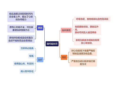 医学知识循环超负荷思维导图