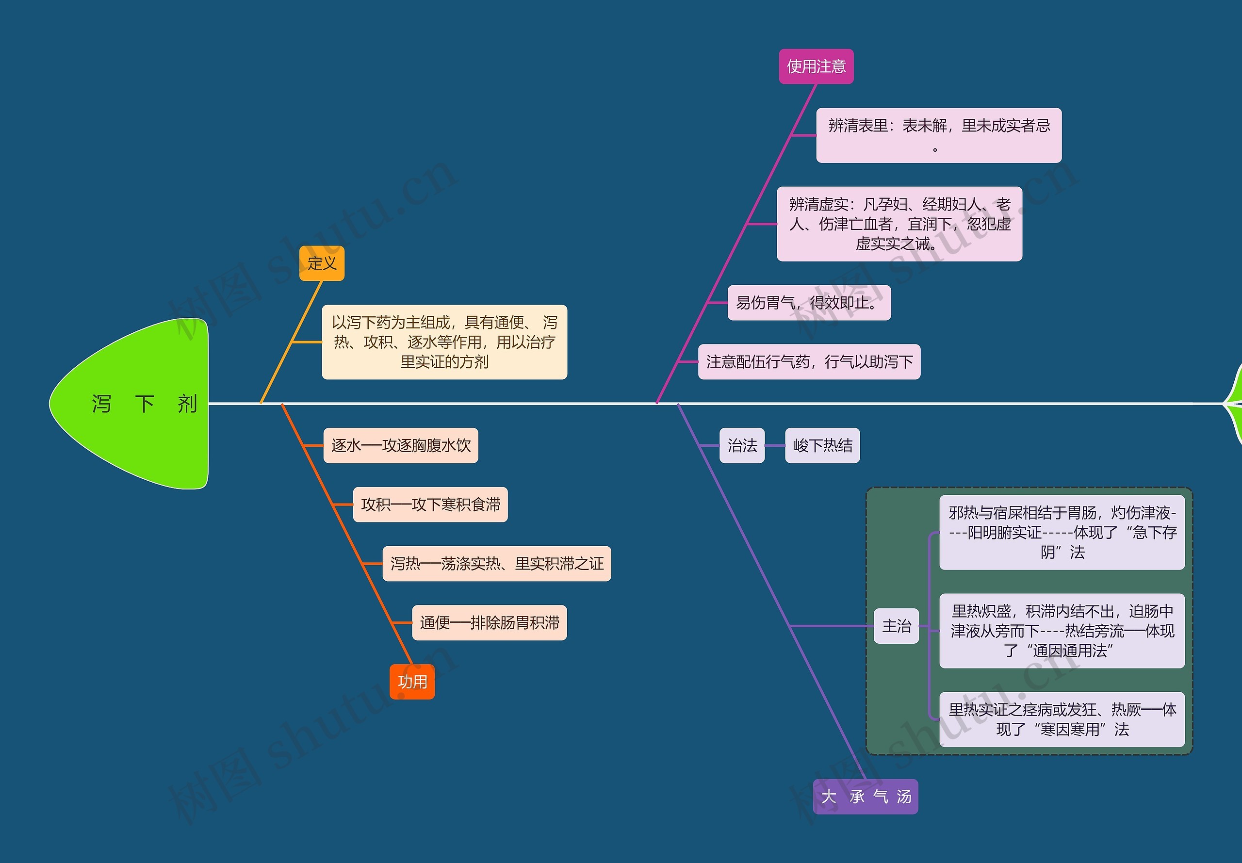 医学知识泻下剂思维导图