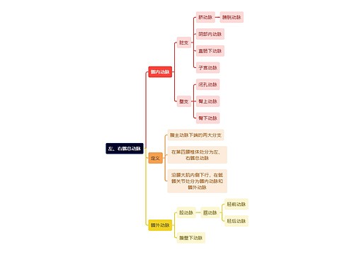 解剖学知识左、右髂总动脉思维导图